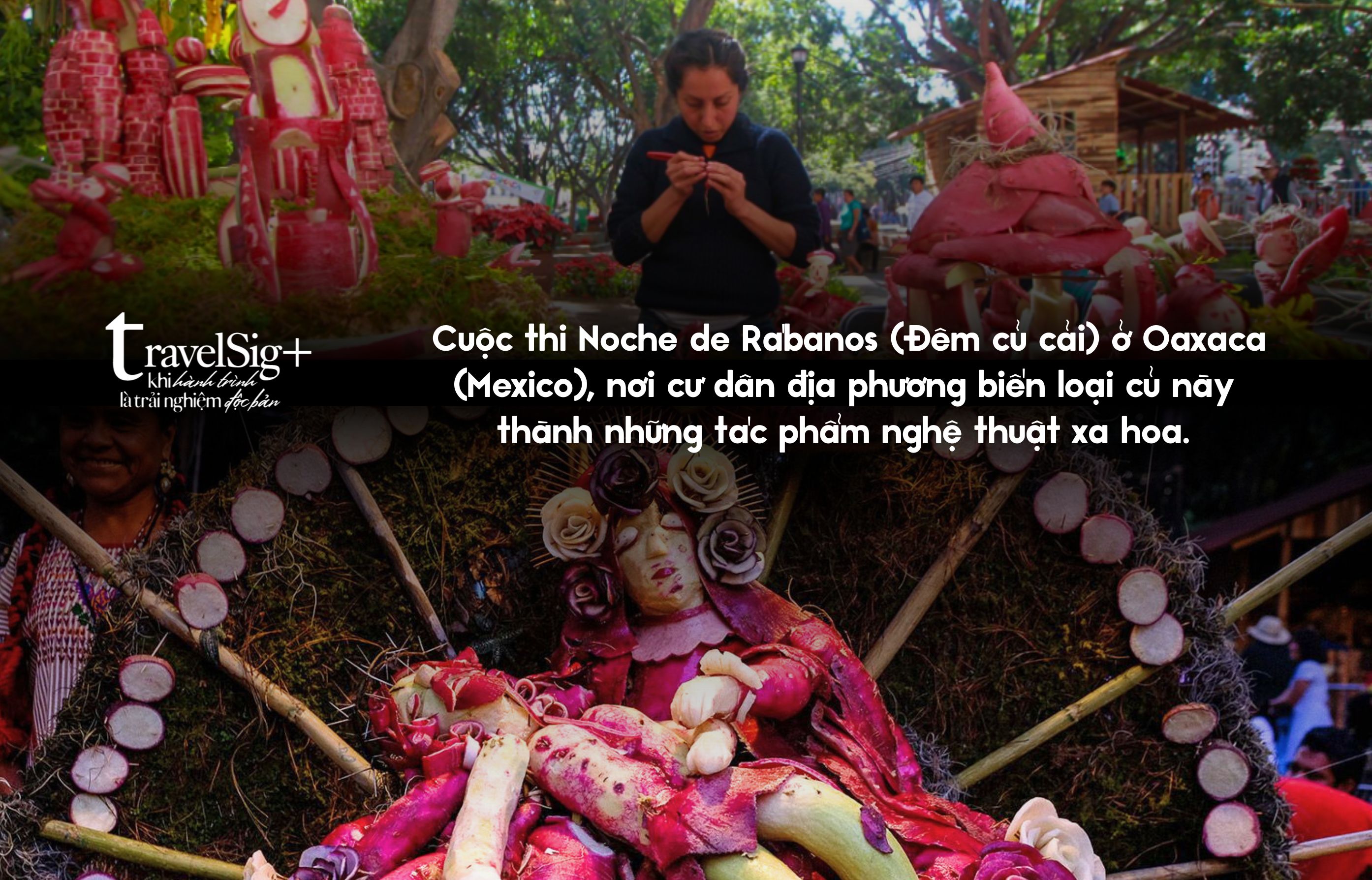 Noche de Rábanos, lễ hội Đêm Củ Cải độc đáo tại Oaxaca, Mexico