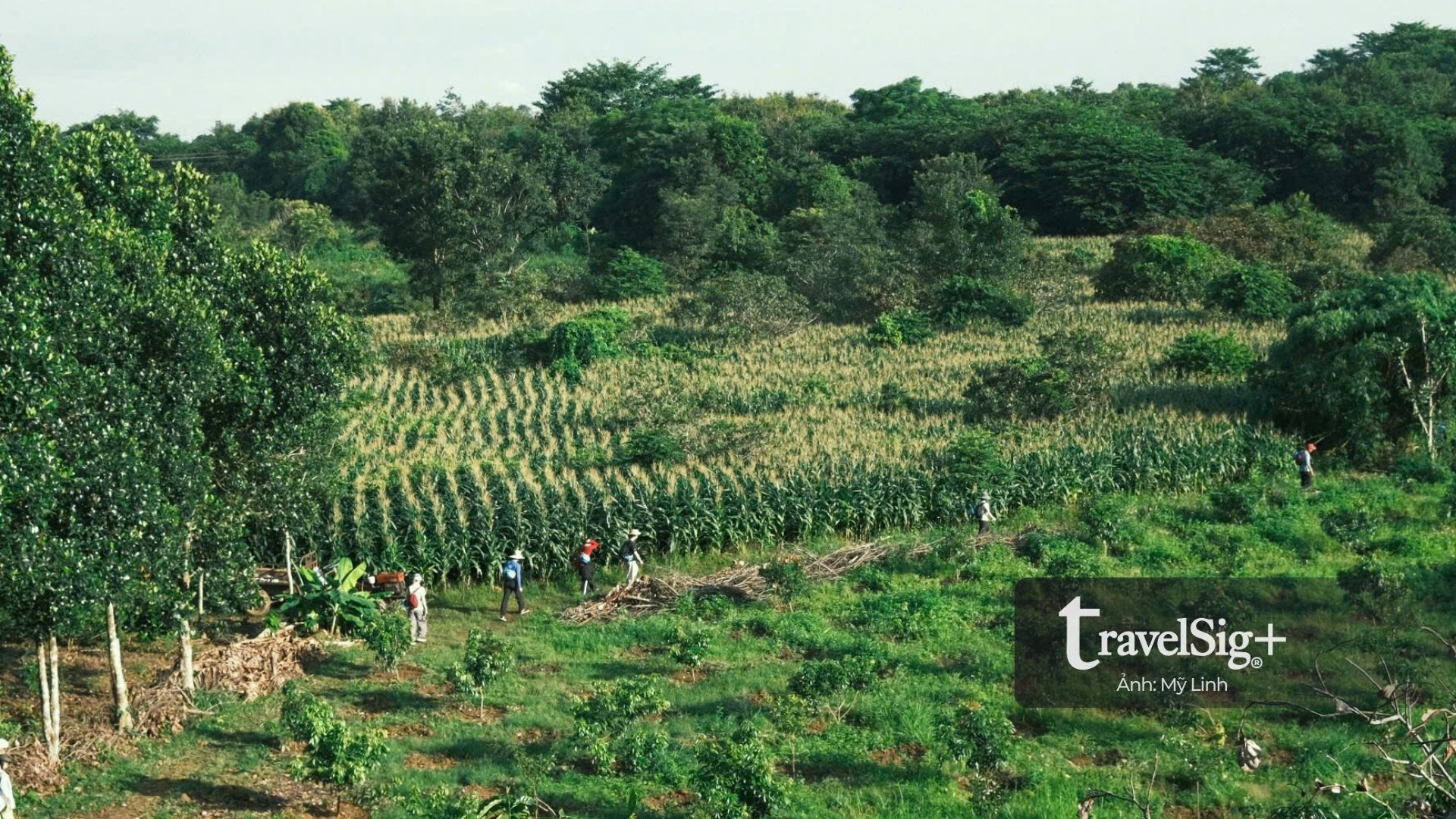 Núi Chư Bluk, thác Lưu Ly - Nơi đất trời ôm trọn bước chân phiêu lãng