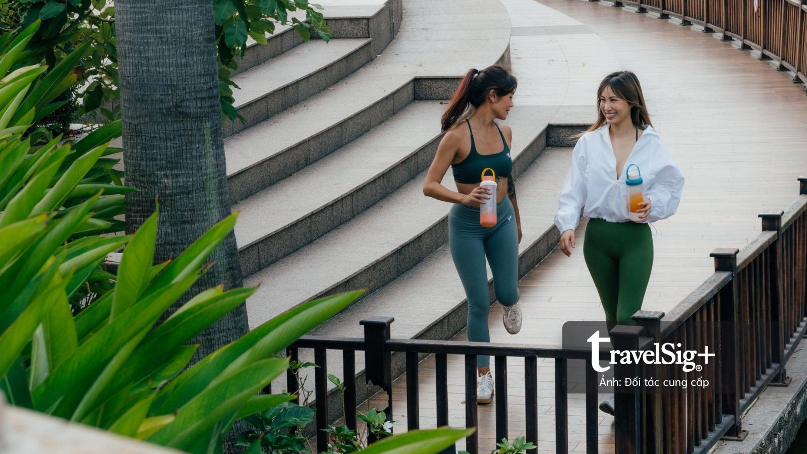 Pace for a Cause: A 6km Morning Charity Run Blends Fitness, Matcha Culture and Social Good