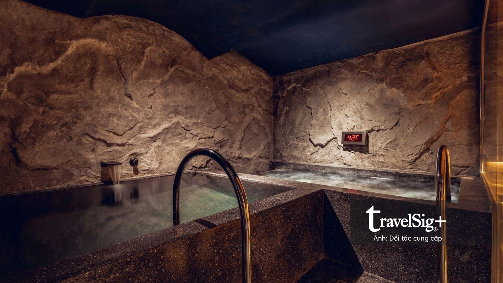 Pace for a Cause: A 6km Morning Charity Run Blends Fitness, Matcha Culture and Social Good