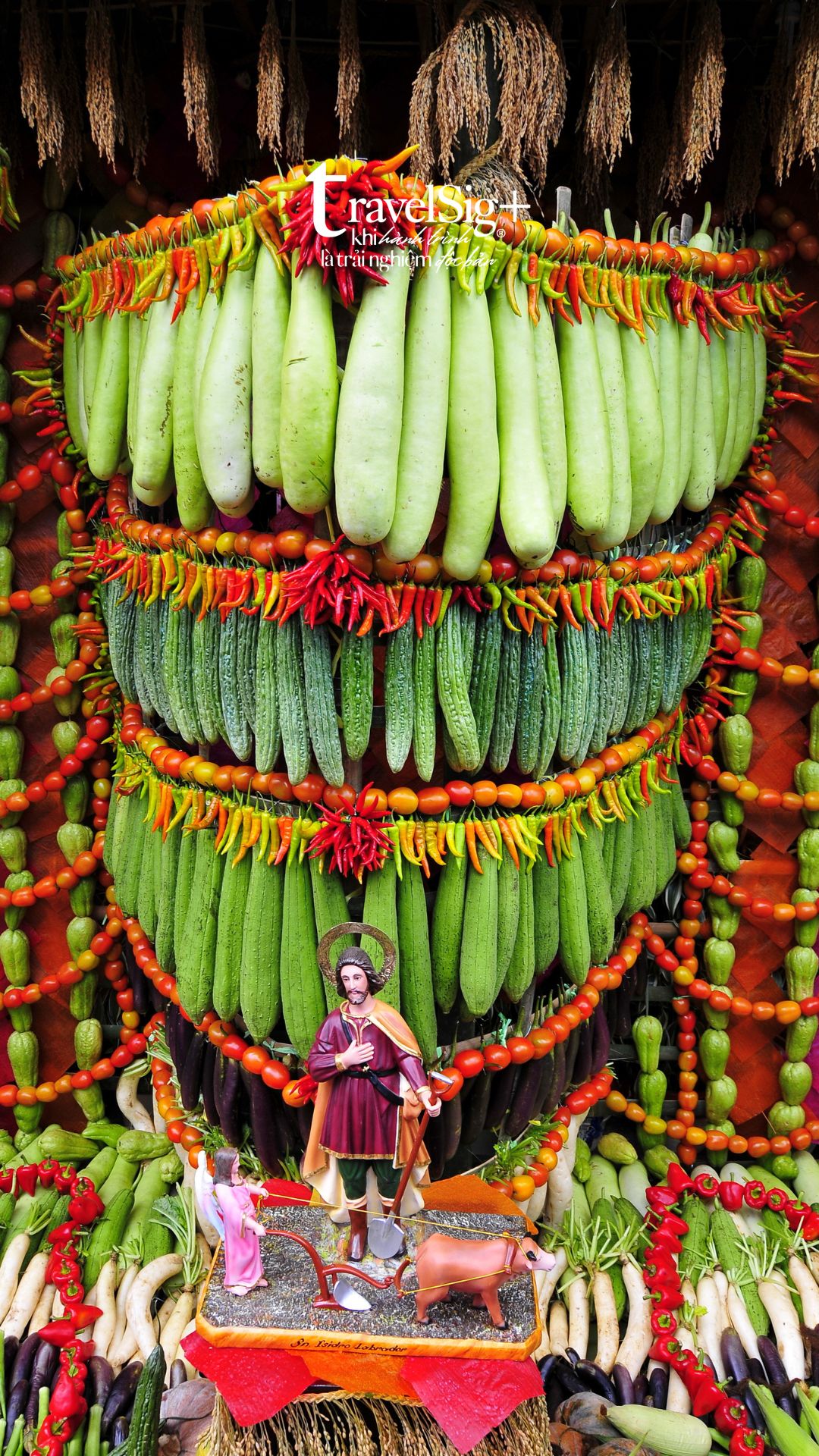 Pahiyas Festival - Lễ hội sắc màu tôn vinh mùa màng bội thu ở Philippines