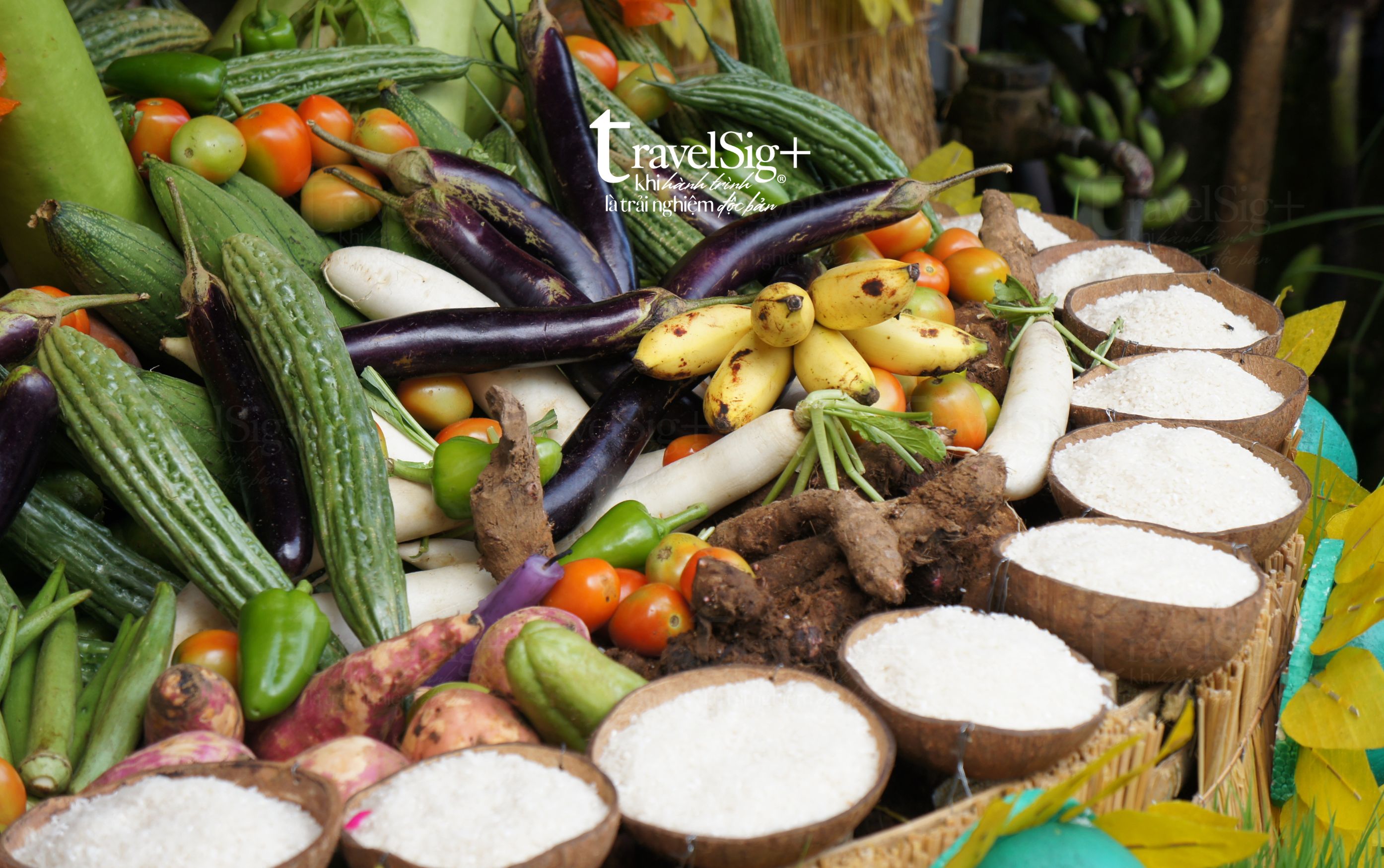 Pahiyas Festival - Lễ hội sắc màu tôn vinh mùa màng bội thu ở Philippines