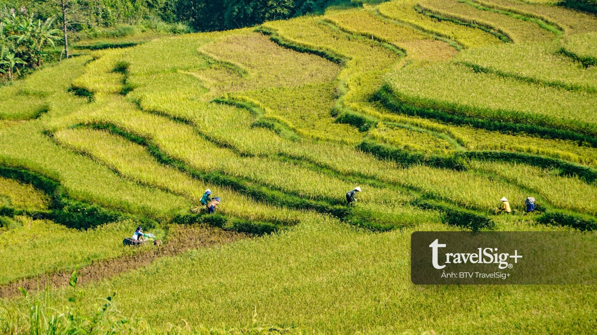 Pù Luông - Viên ngọc xanh níu giữ vẻ đẹp thuần khiết của núi rừng