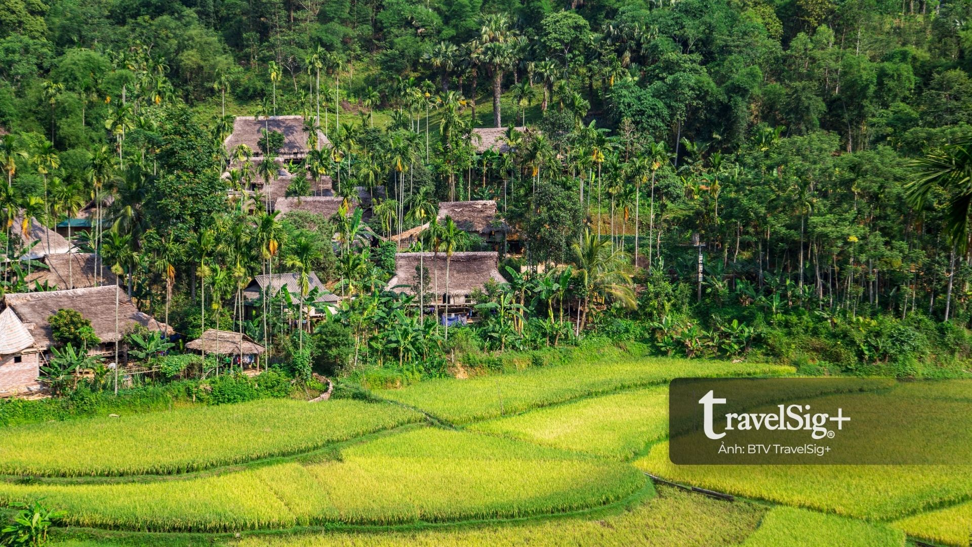 Pù Luông - Viên ngọc xanh níu giữ vẻ đẹp thuần khiết của núi rừng