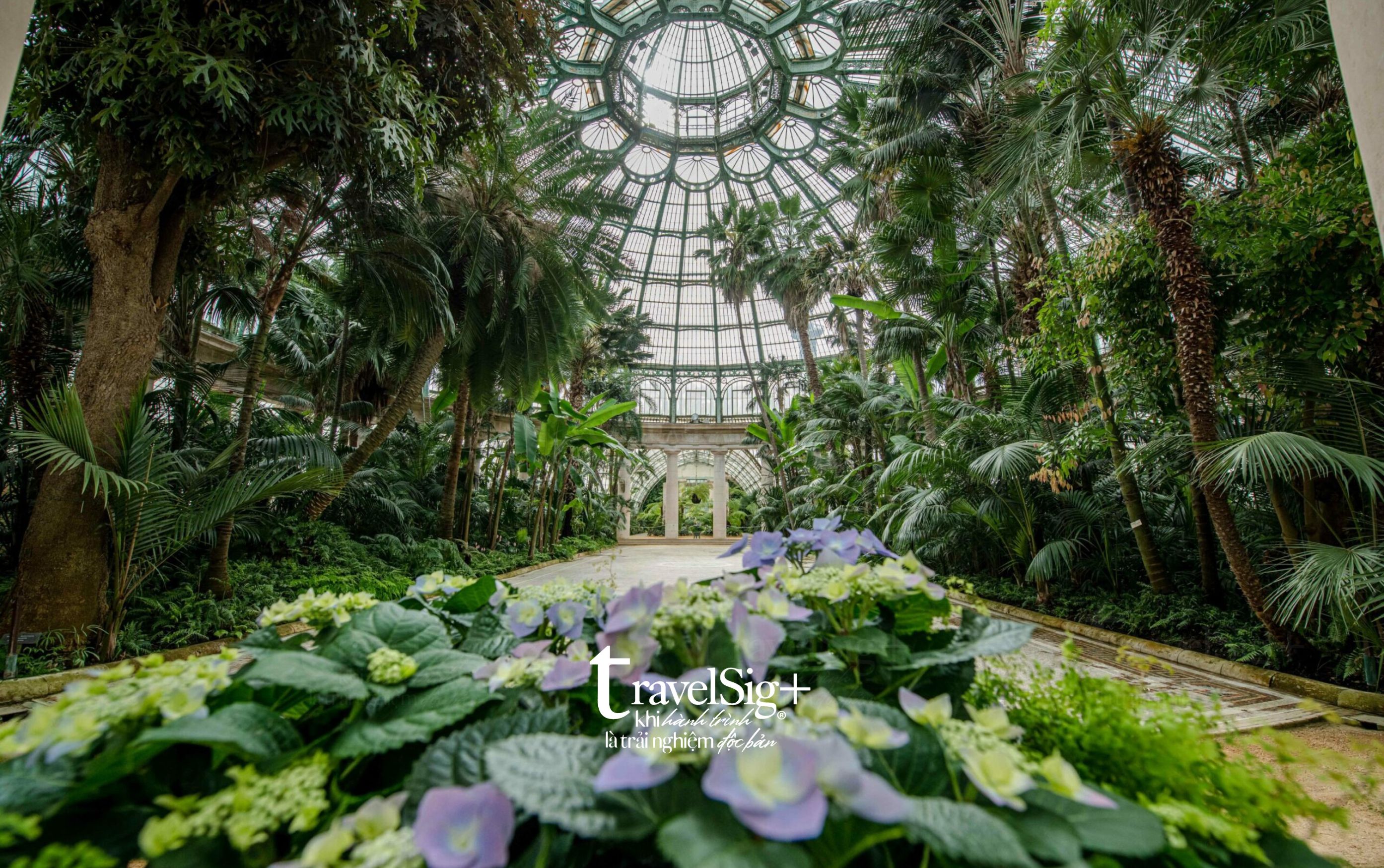 Royal Greenhouses of Laeken - Thành phố kính giữa lòng Brussels