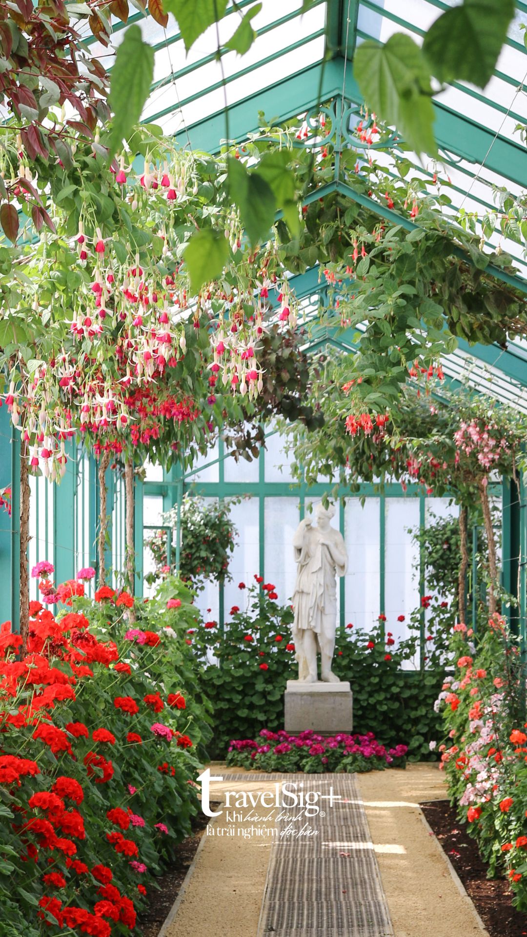 Royal Greenhouses of Laeken - Thành phố kính giữa lòng Brussels