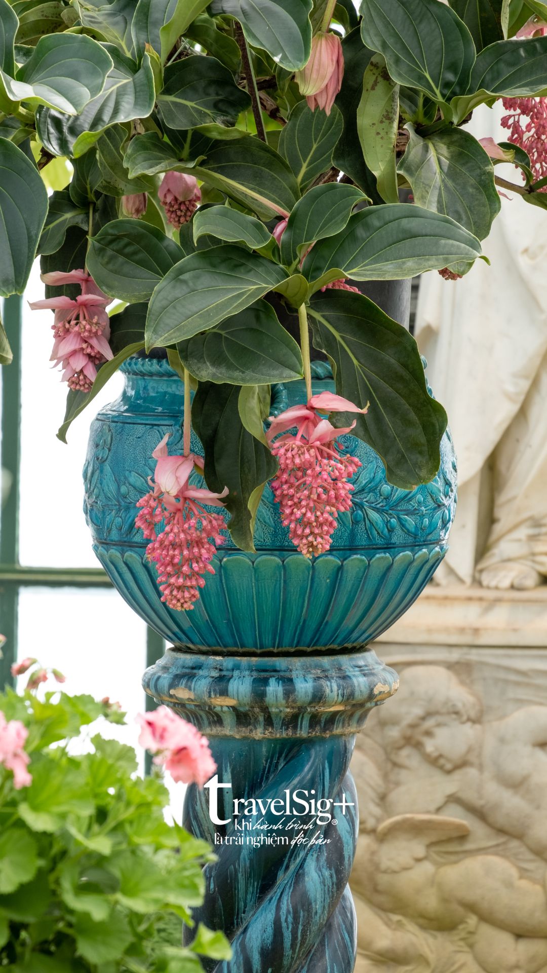 Royal Greenhouses of Laeken - Thành phố kính giữa lòng Brussels