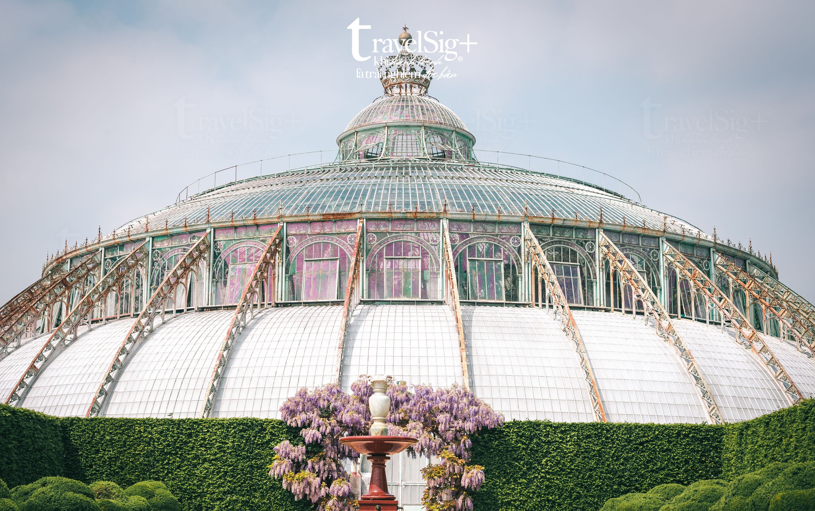 Royal Greenhouses of Laeken - Thành phố kính giữa lòng Brussels