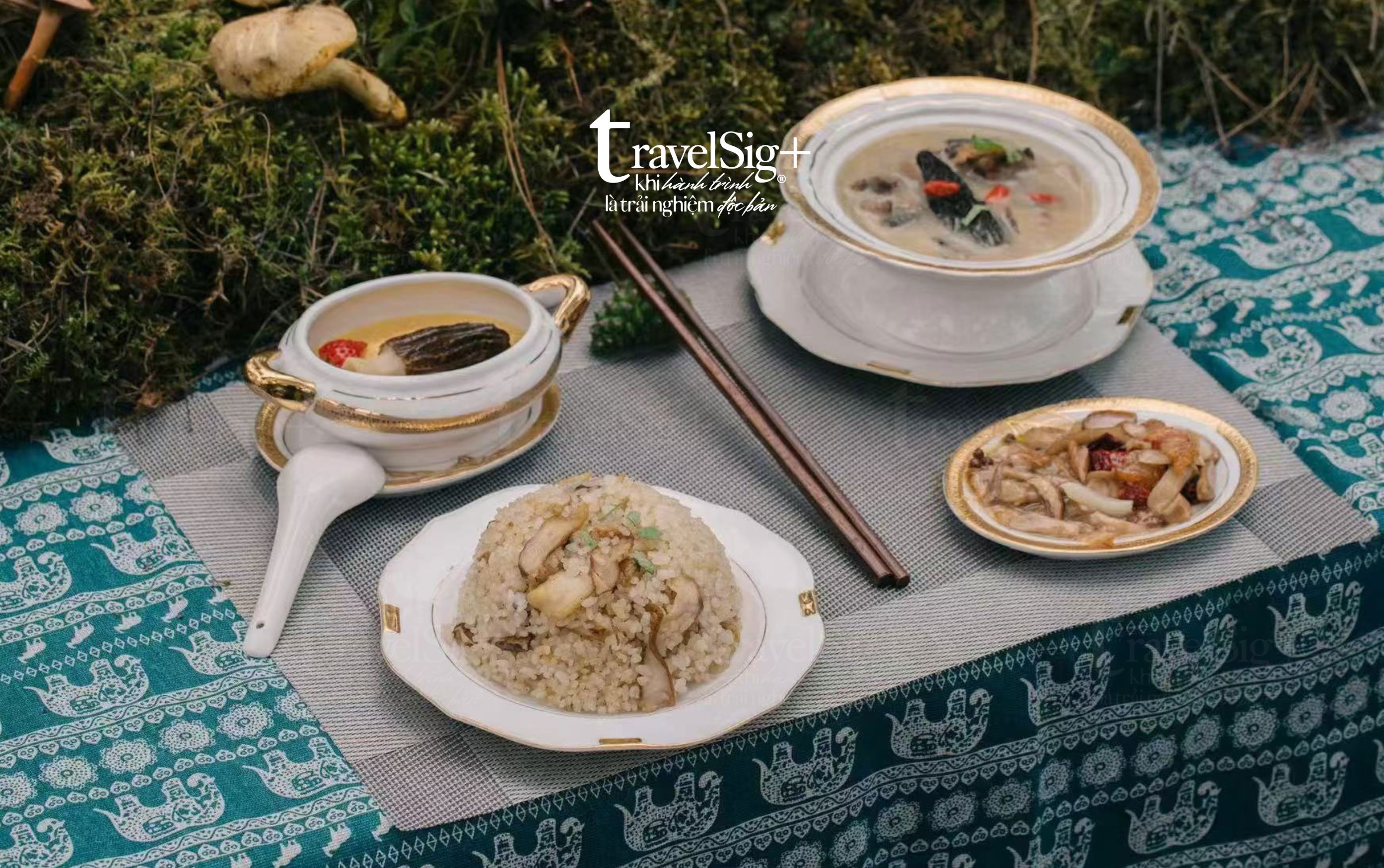 Săn nấm hoang dã - Trào lưu du lịch trải nghiệm mới tại Trung Quốc