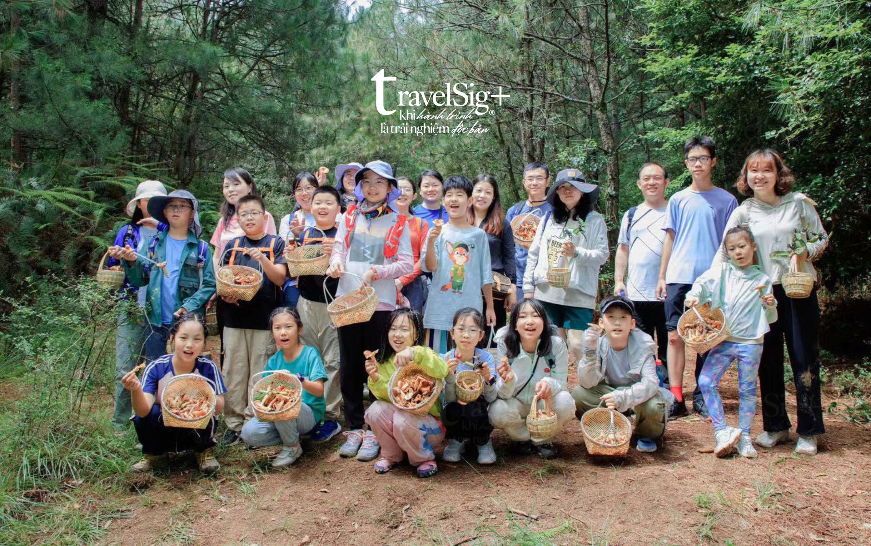 Săn nấm hoang dã - Trào lưu du lịch trải nghiệm mới tại Trung Quốc