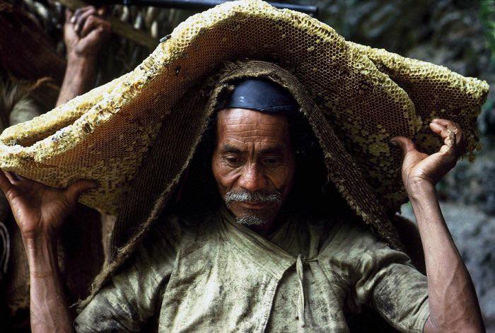 Săn ong đá ở Nepal: Nghề lấy mật trên vách núi Himalaya