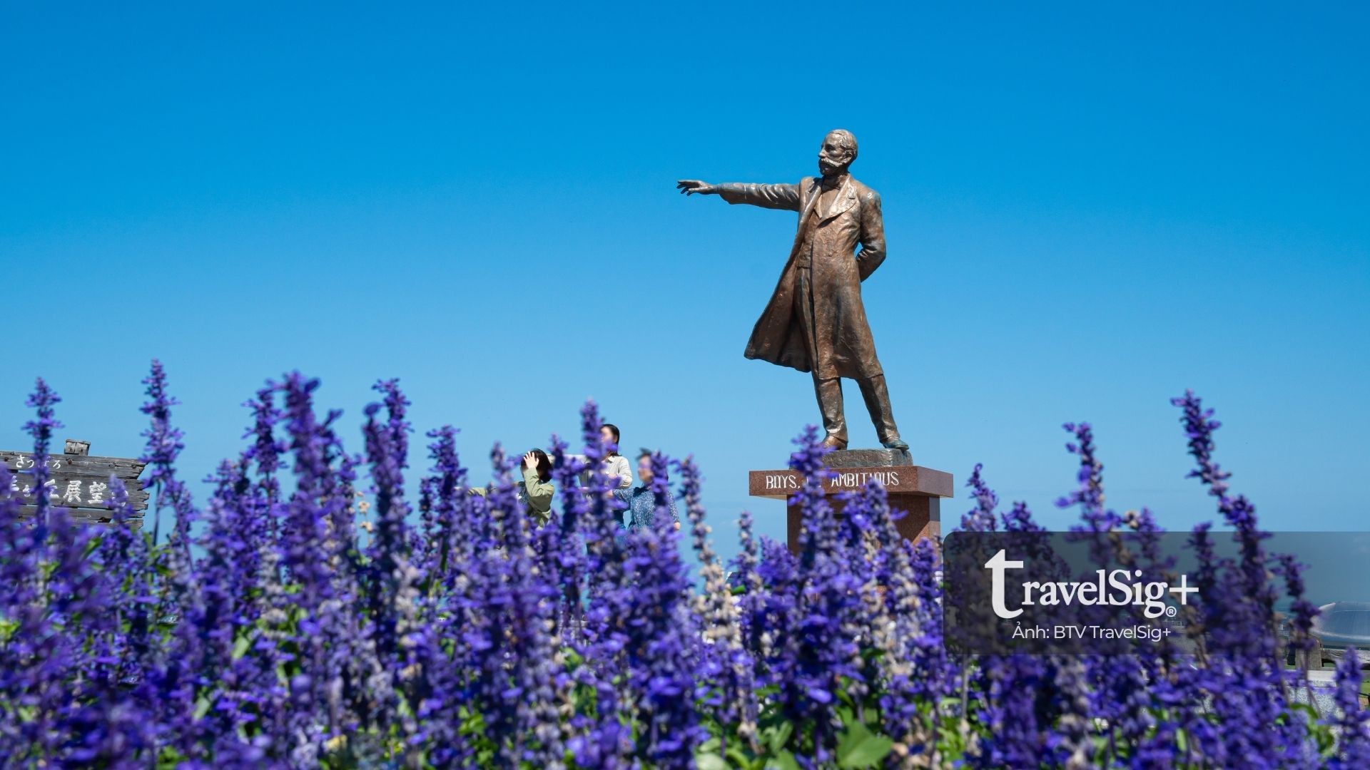 Sapporo - Vẻ đẹp tĩnh lặng mùa hoa Lavender