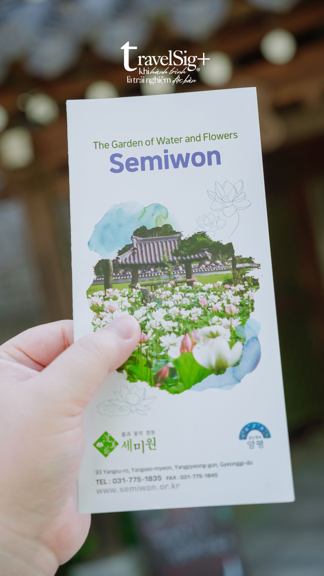 Semiwon - Chạm vào vẻ đẹp thuần khiết của mùa hè Hàn Quốc