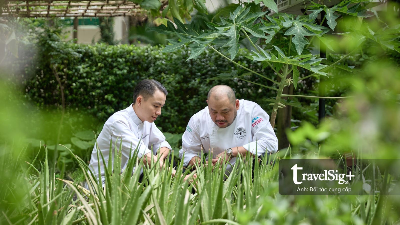 Shared Flame: Nơi biển, lửa và nghệ thuật ẩm thực cùng hòa vào một nhịp thở ở Phú Quốc