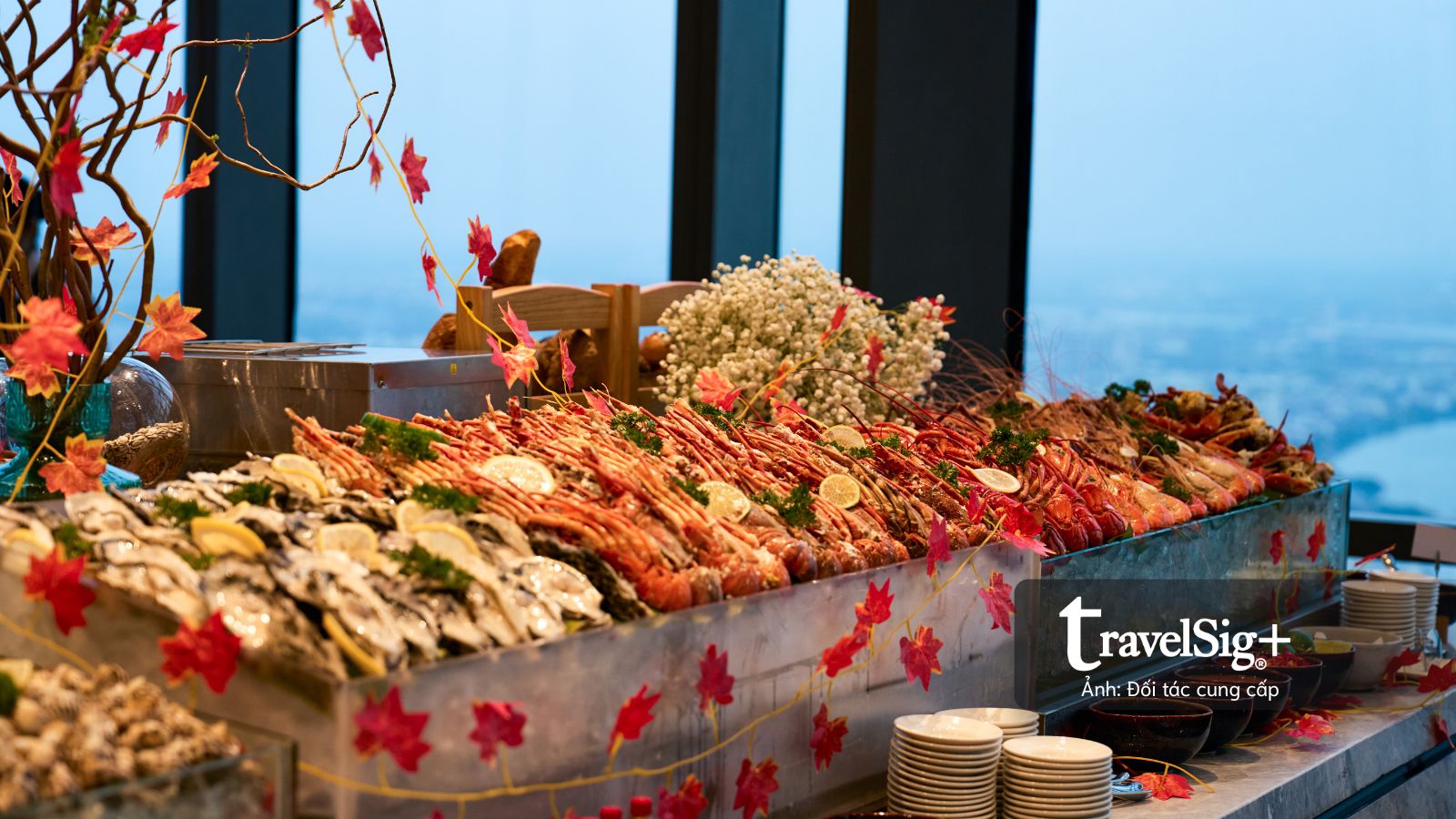 “Sky Stay with Credit” tại Landmark 81: Khi thành phố bắt đầu từ tầng mây