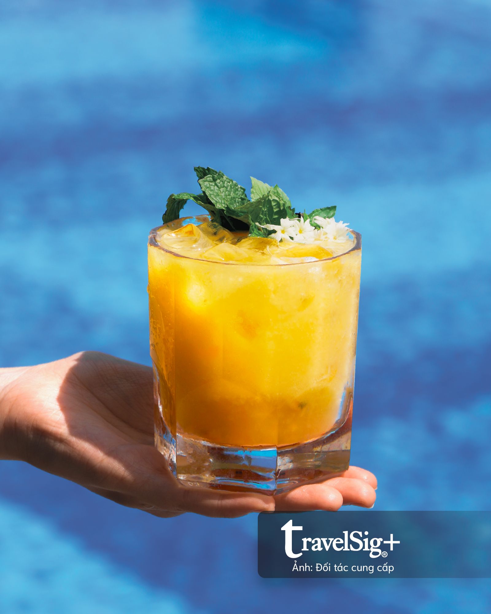 Sofitel Saigon Plaza gửi trọn yêu thương qua hành trình vị giác tháng 6