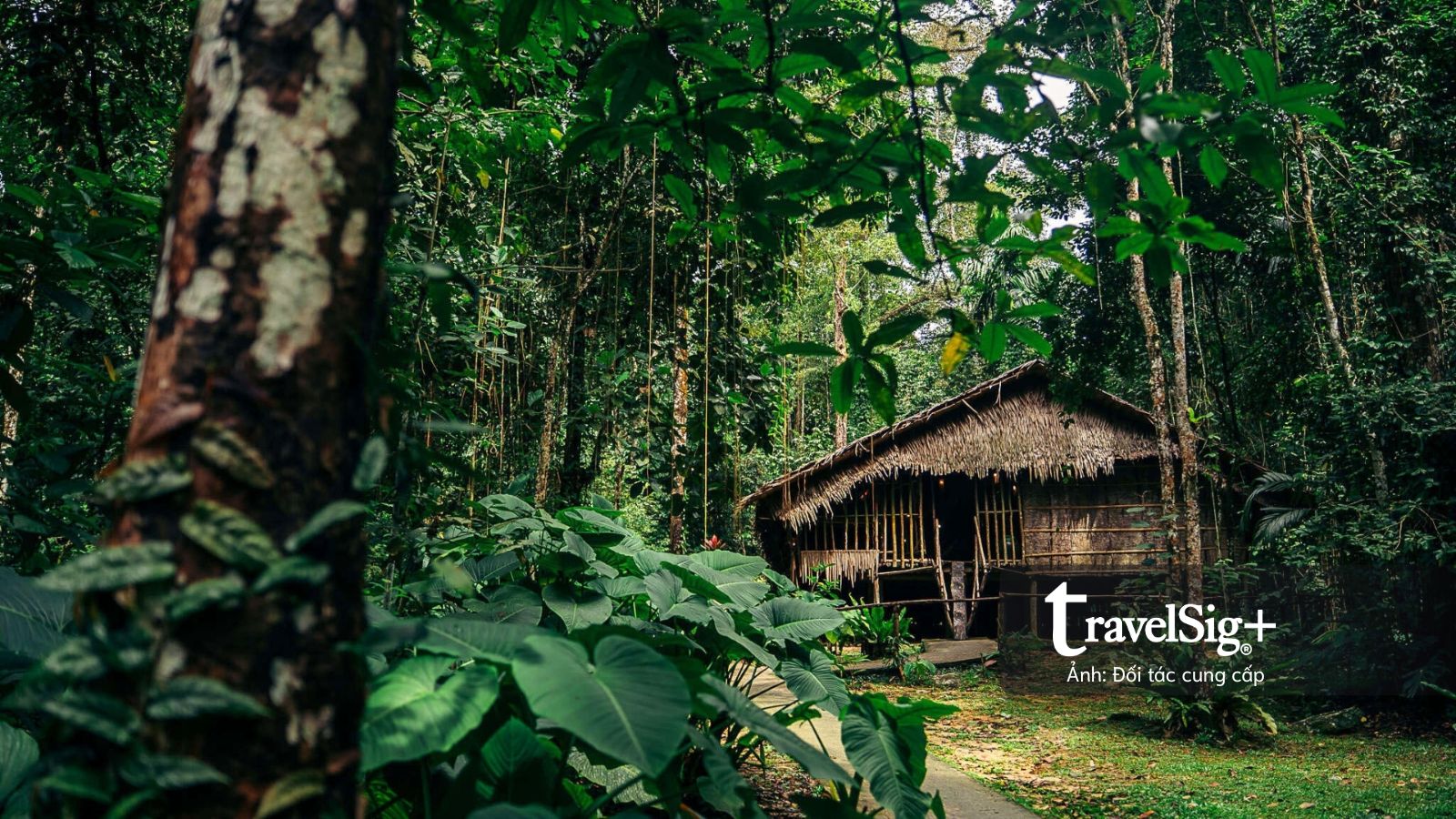 Sống trọn mùa hè Đông Nam Á theo nhịp điệu riêng cùng Club Med