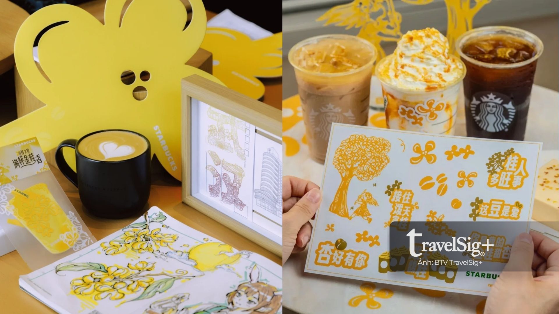 Starbucks & mùa quế vàng: Khi cà phê gặp gỡ di sản Trung Hoa