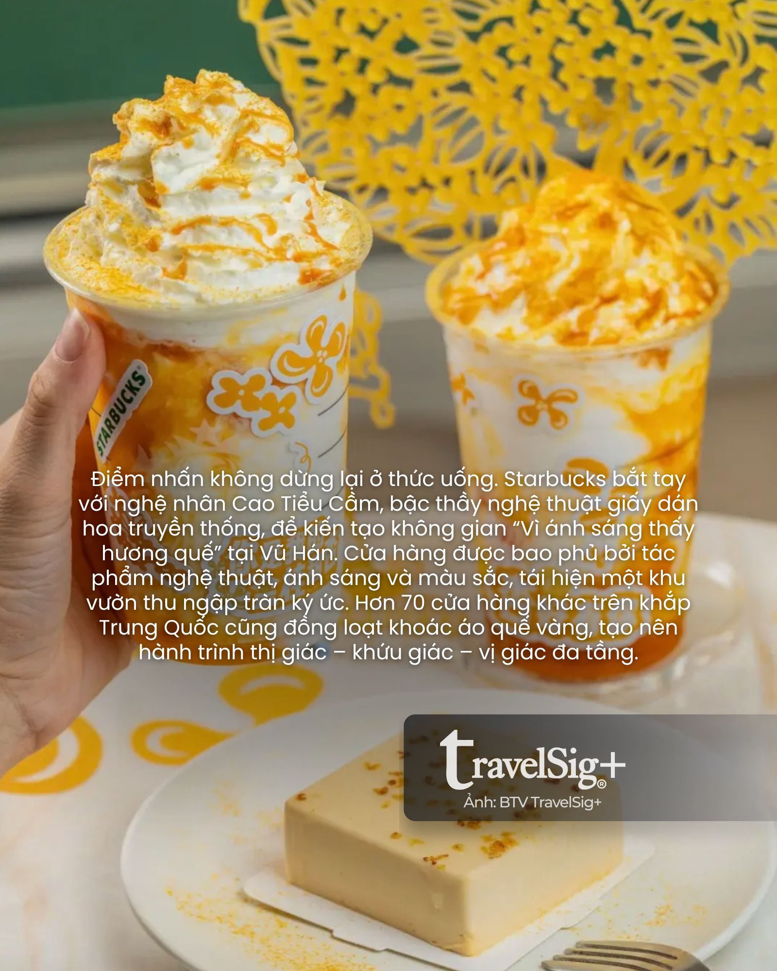 Starbucks & mùa quế vàng: Khi cà phê gặp gỡ di sản Trung Hoa