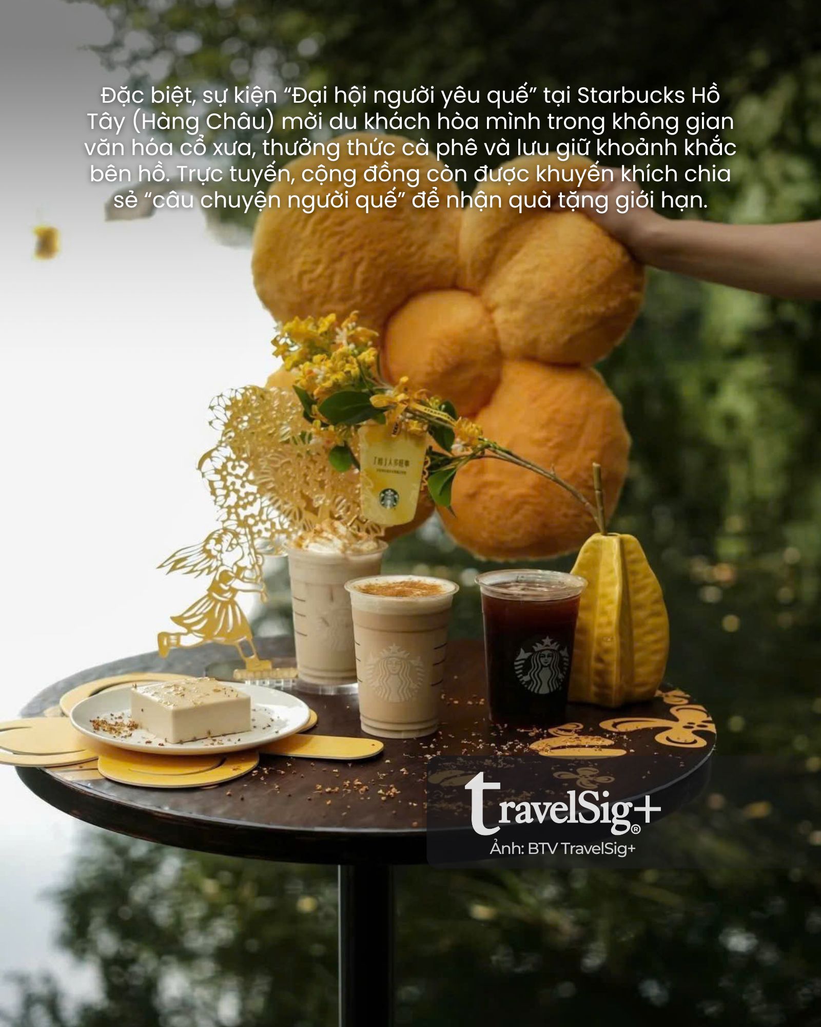 Starbucks & mùa quế vàng: Khi cà phê gặp gỡ di sản Trung Hoa