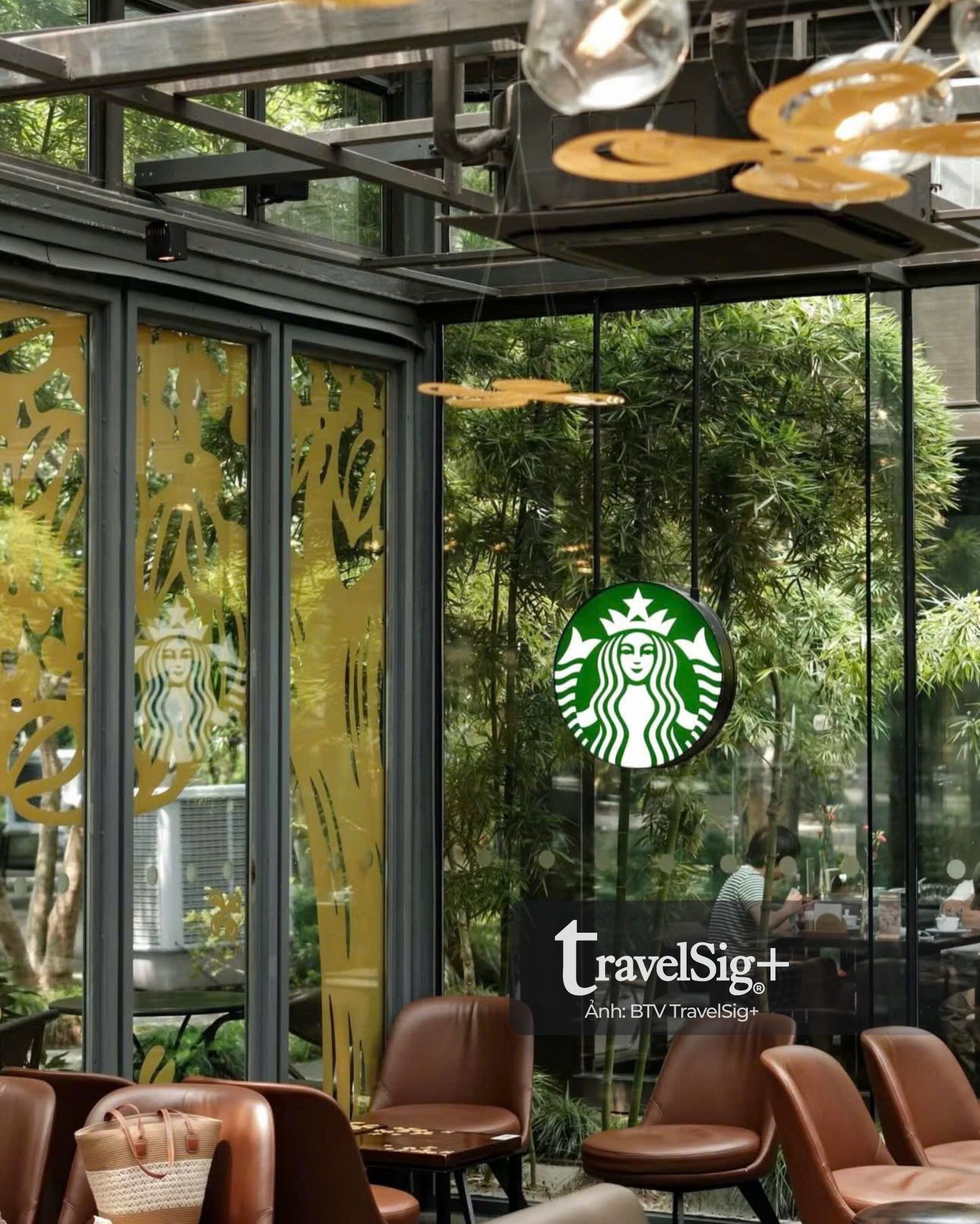 Starbucks & mùa quế vàng: Khi cà phê gặp gỡ di sản Trung Hoa