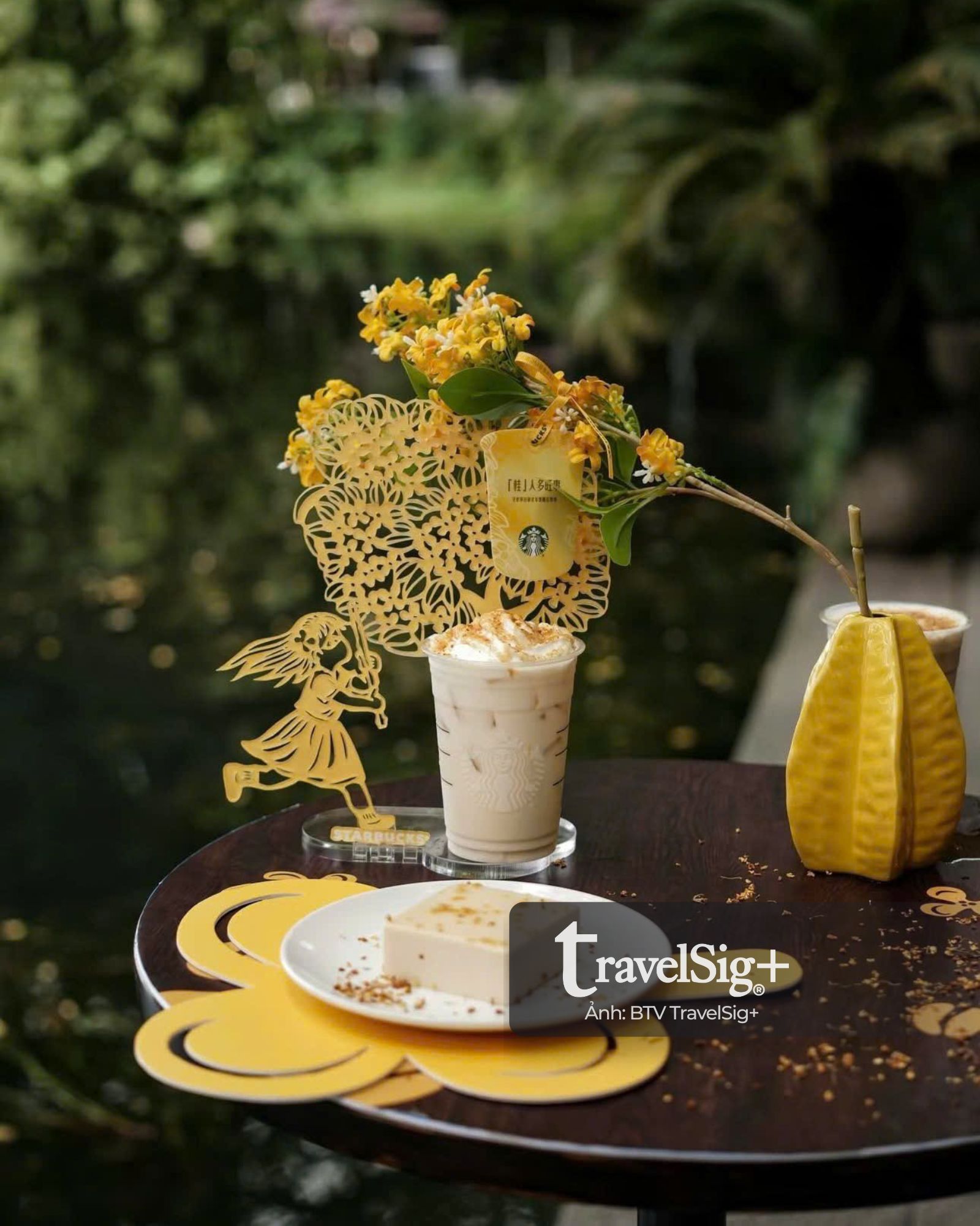 Starbucks & mùa quế vàng: Khi cà phê gặp gỡ di sản Trung Hoa