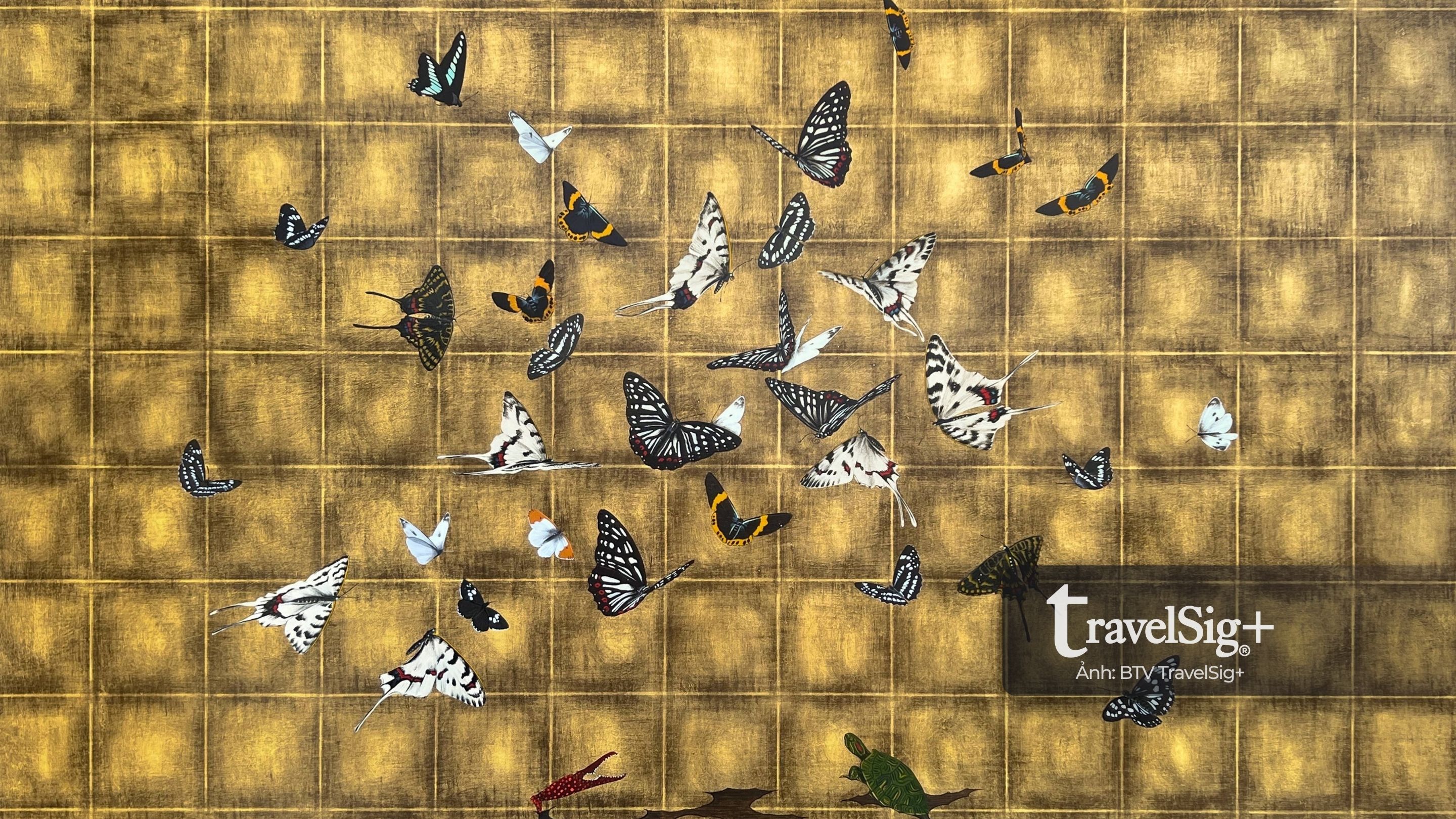 Takahide Komatsu – Khi nghệ thuật kể câu chuyện của thiên nhiên