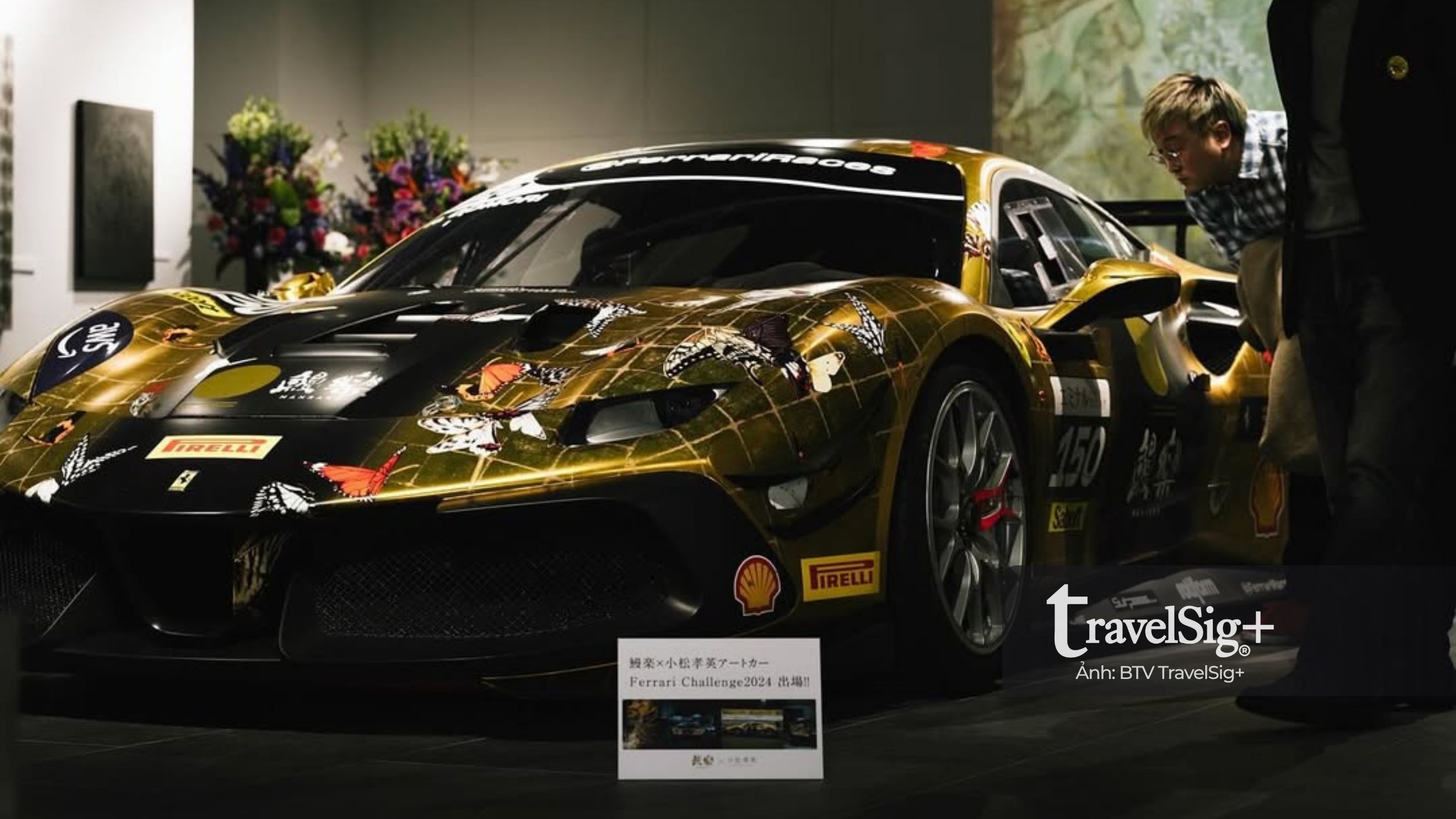 Takahide Komatsu – Khi nghệ thuật kể câu chuyện của thiên nhiên