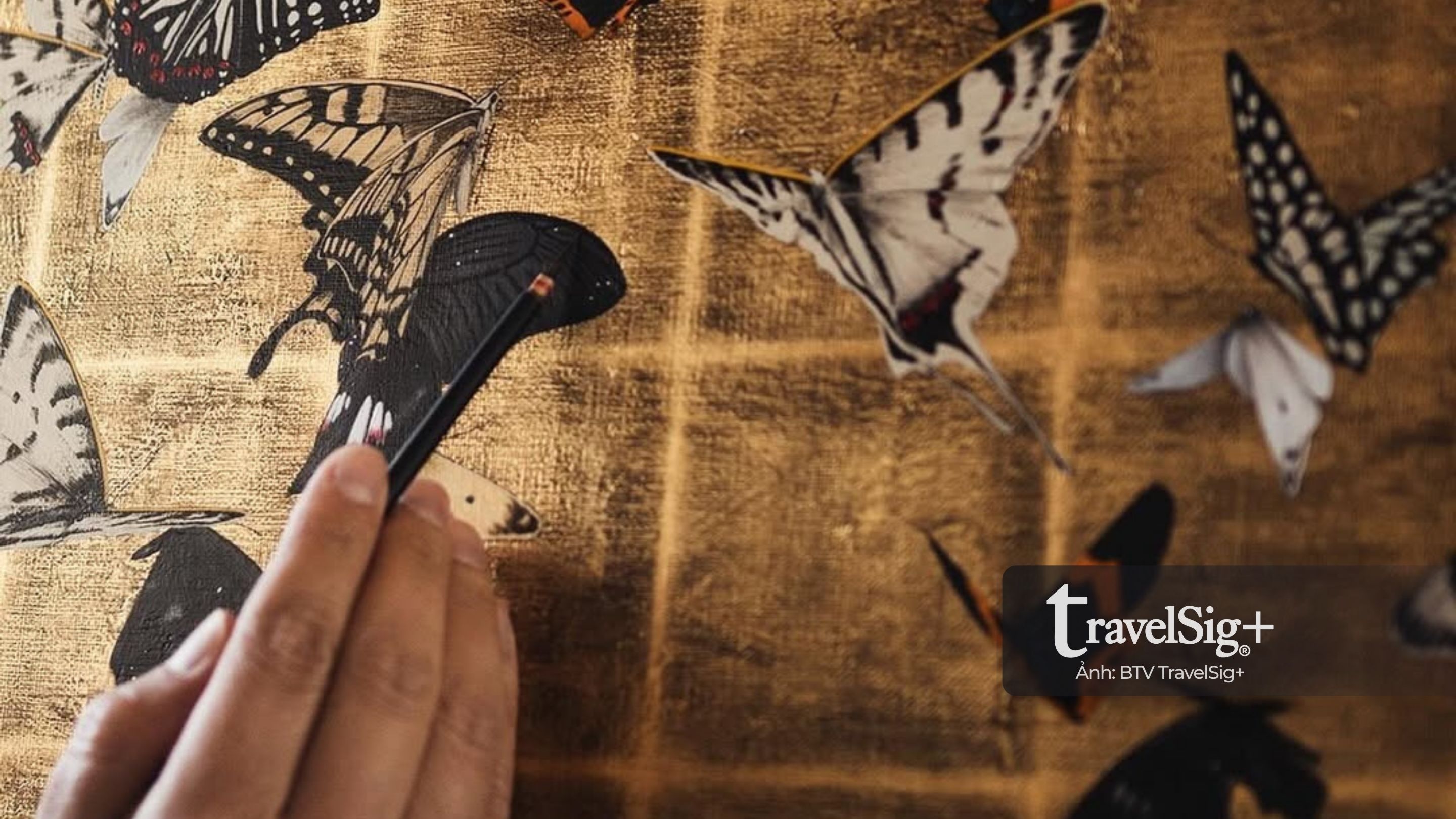 Takahide Komatsu – Khi nghệ thuật kể câu chuyện của thiên nhiên