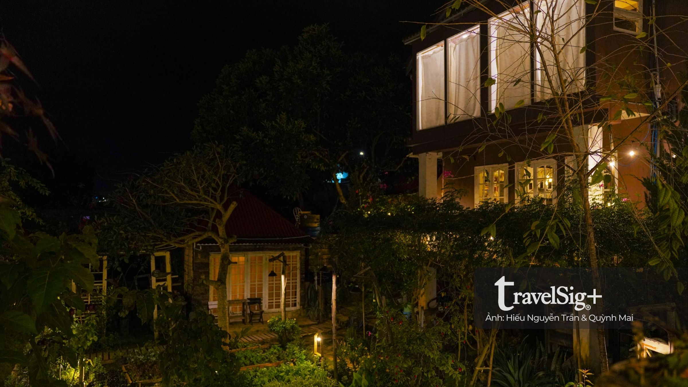 The Burrow - Hang sóc nhỏ cất giữ những giấc mơ ở ở Đà Lạt