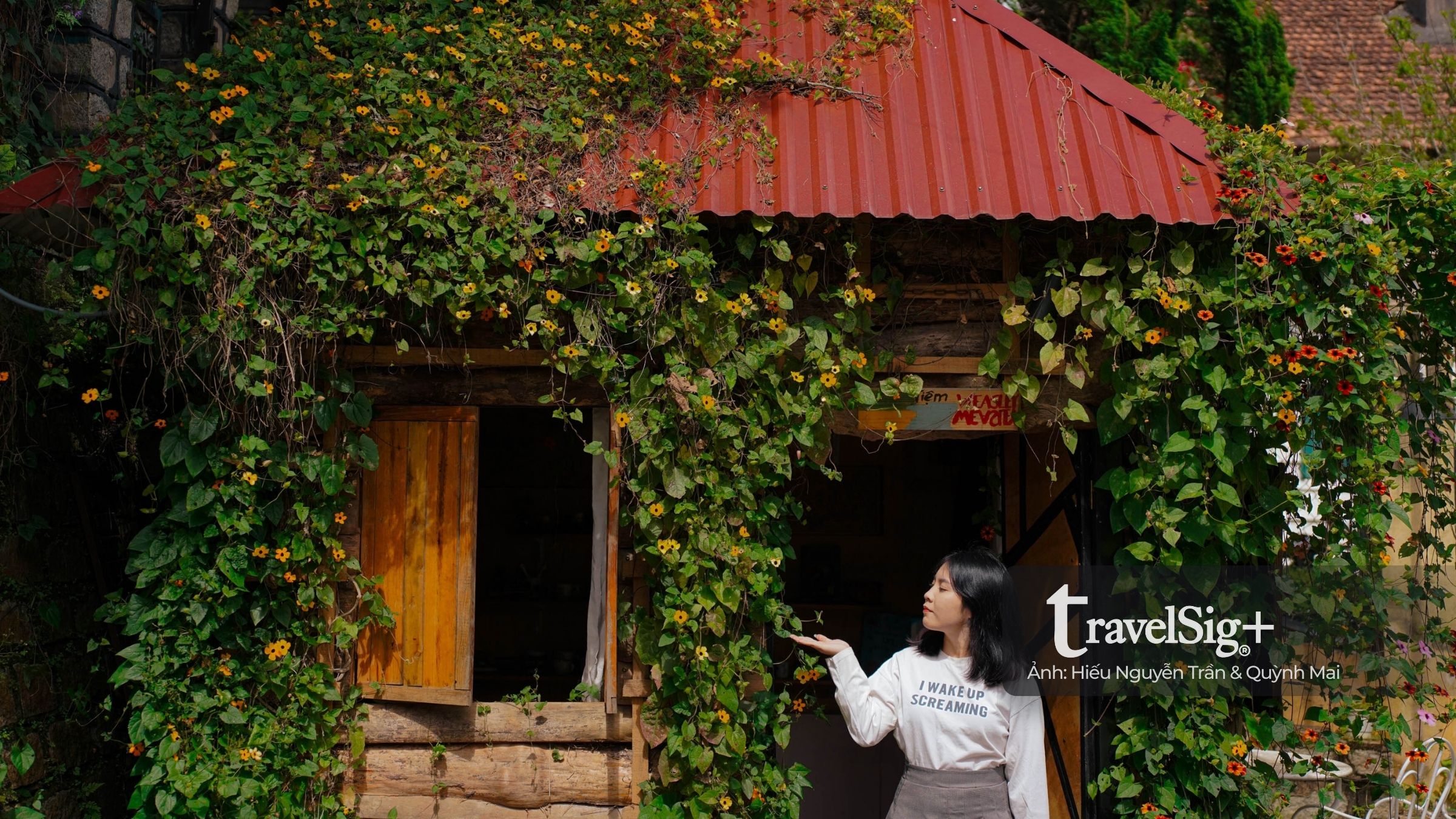 The Burrow - Hang sóc nhỏ cất giữ những giấc mơ ở ở Đà Lạt