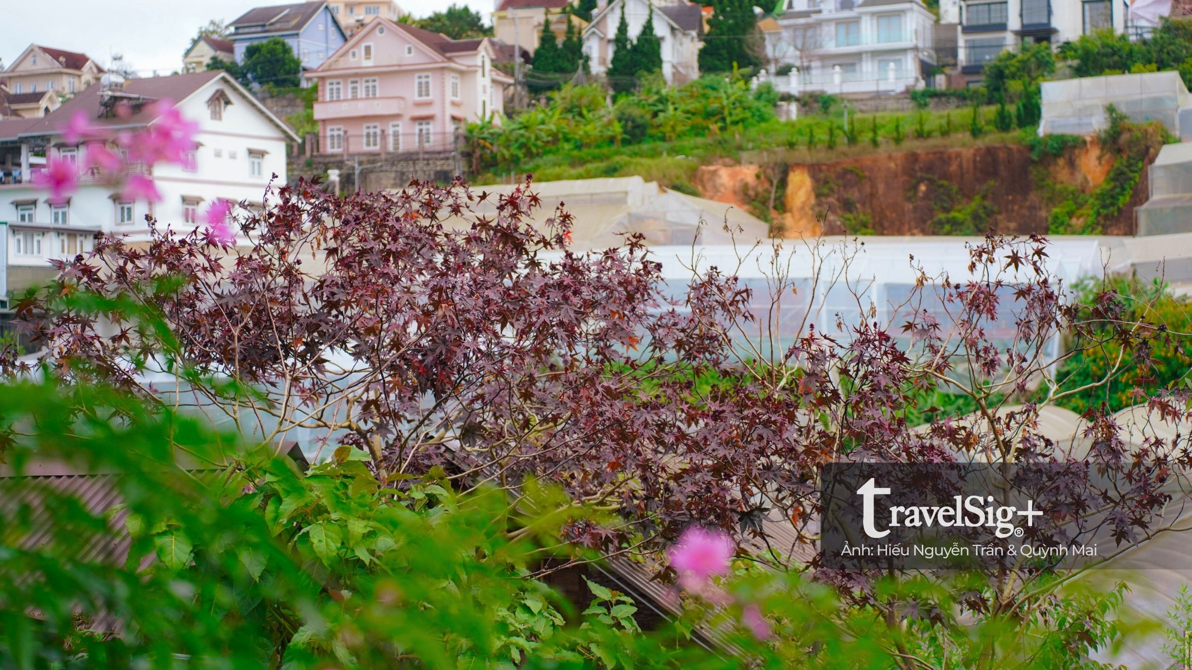 The Burrow - Hang sóc nhỏ cất giữ những giấc mơ ở ở Đà Lạt