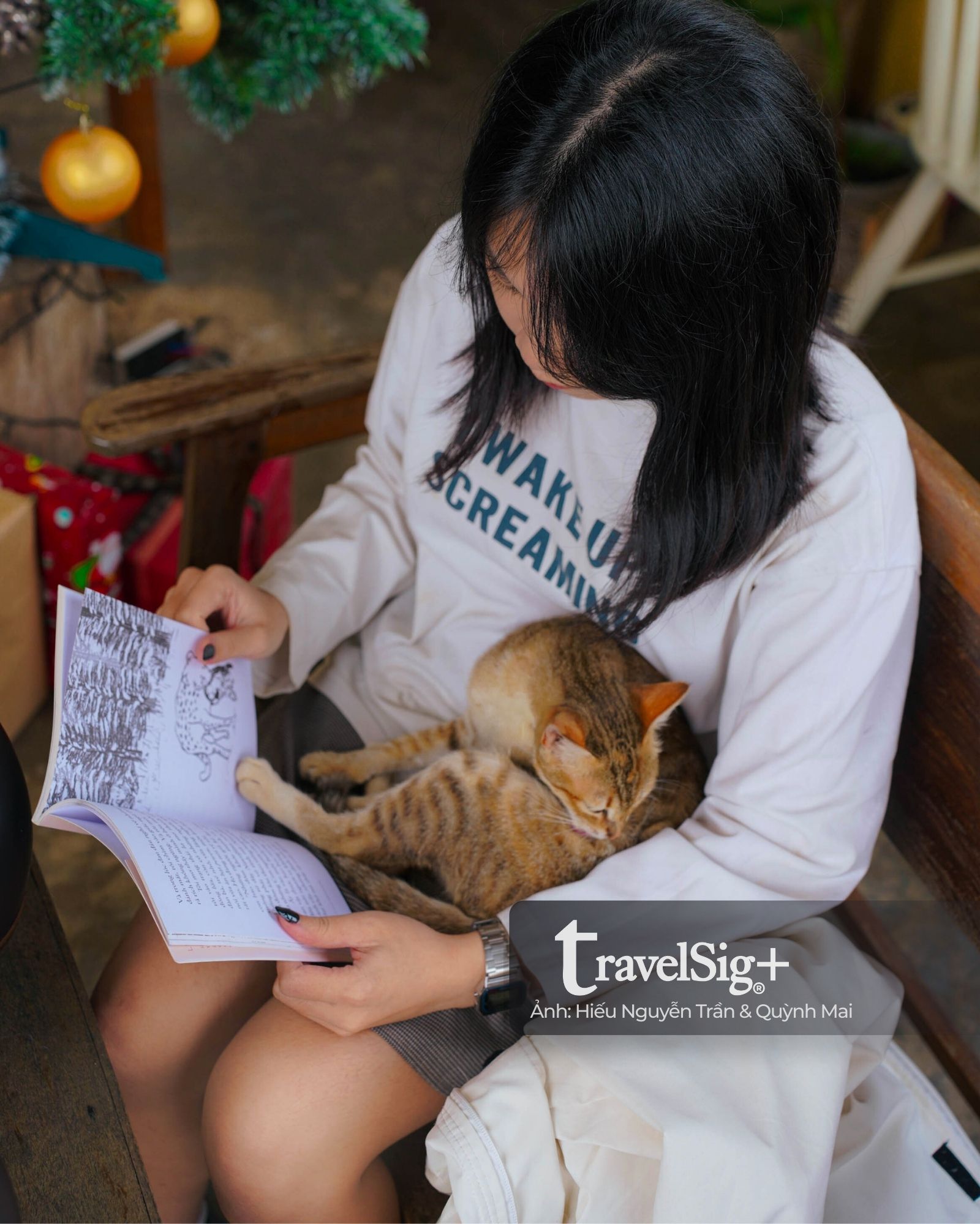 The Burrow - Hang sóc nhỏ cất giữ những giấc mơ ở ở Đà Lạt