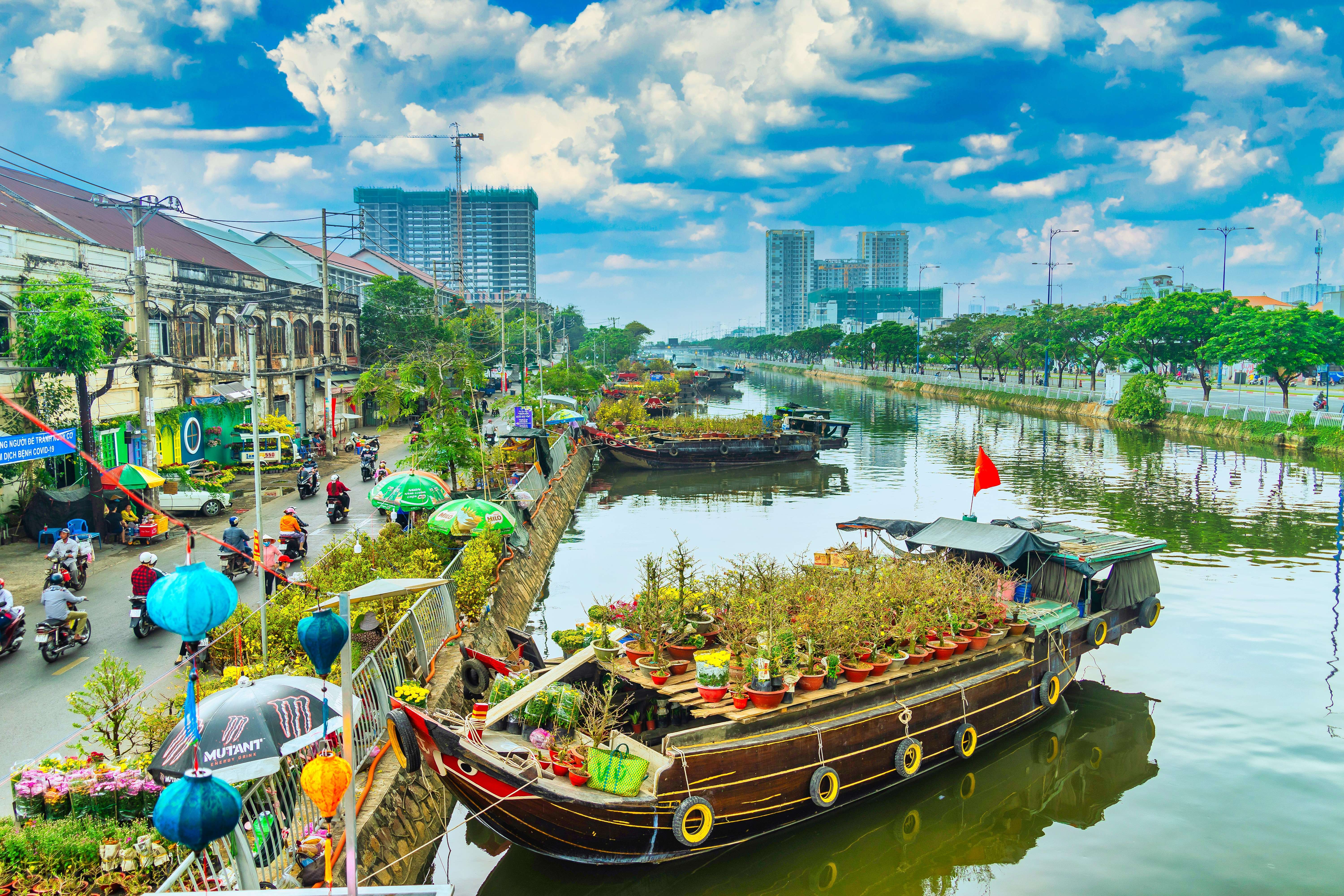 Thú chơi mai vàng ở Nam Bộ