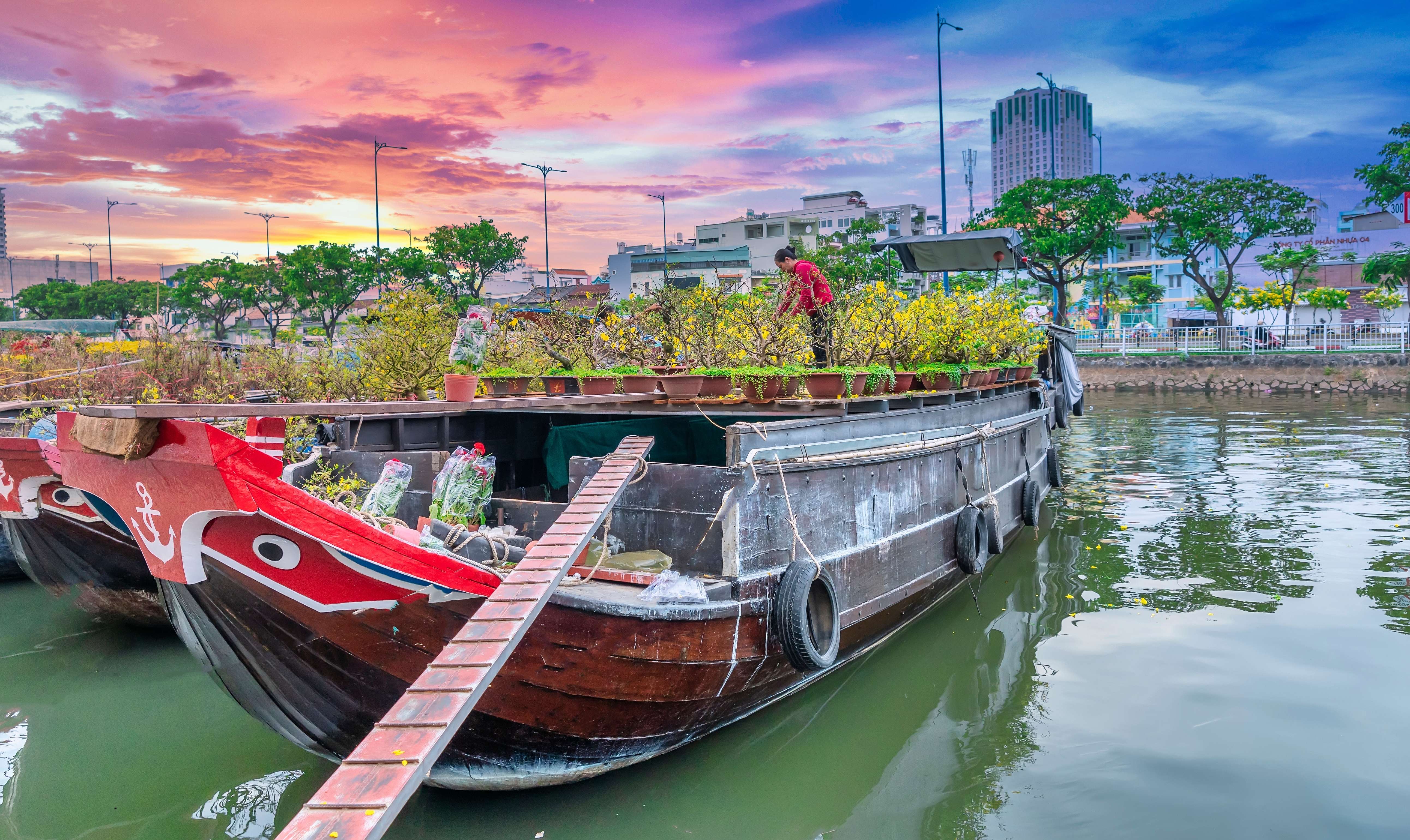 Thú chơi mai vàng ở Nam Bộ