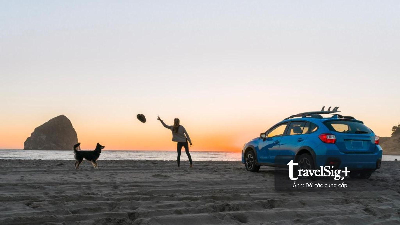 Thú cưng tái định nghĩa du lịch 2026: Khi hành trình xoay quanh "người bạn bốn chân"