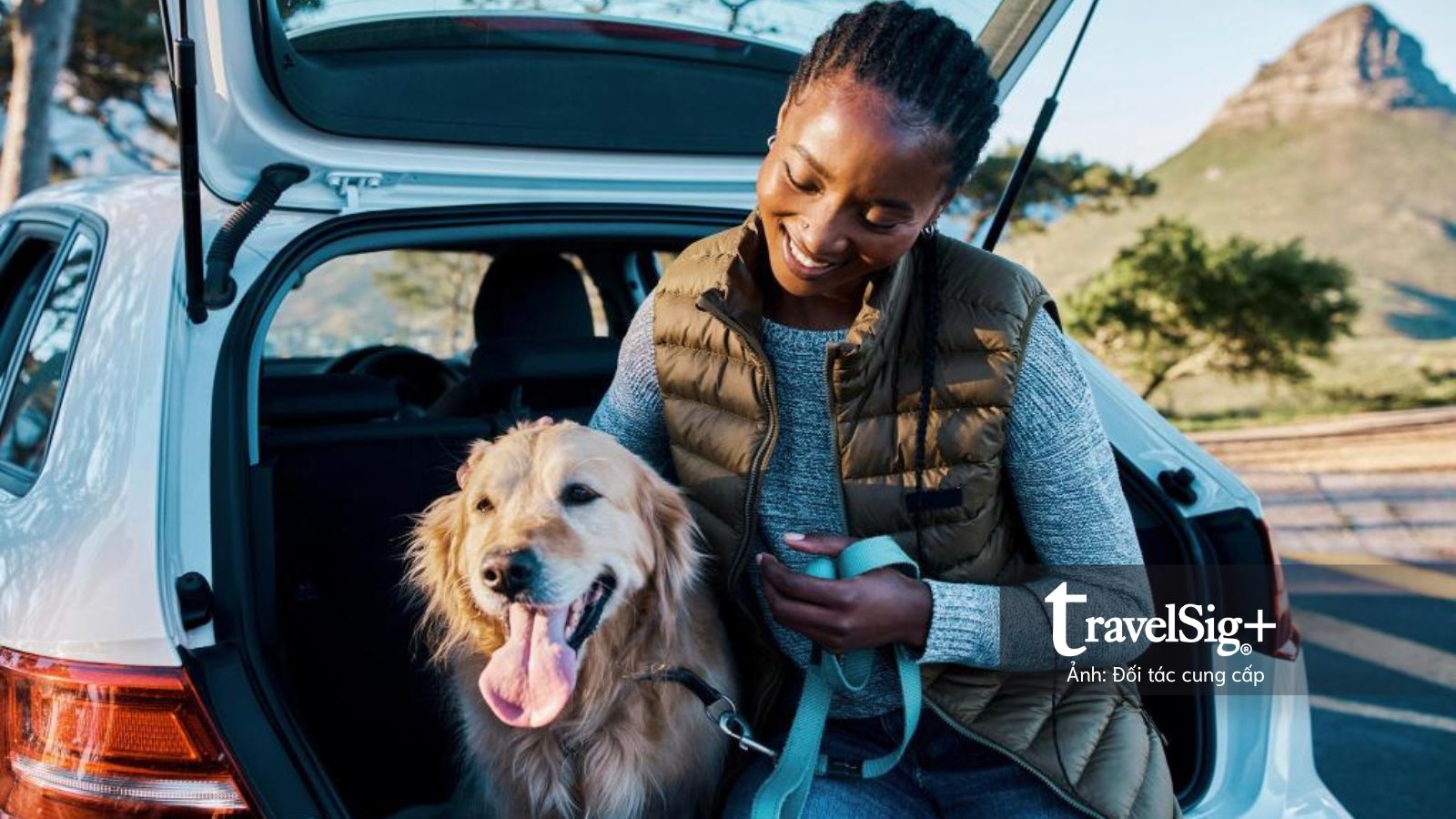 Thú cưng tái định nghĩa du lịch 2026: Khi hành trình xoay quanh "người bạn bốn chân"