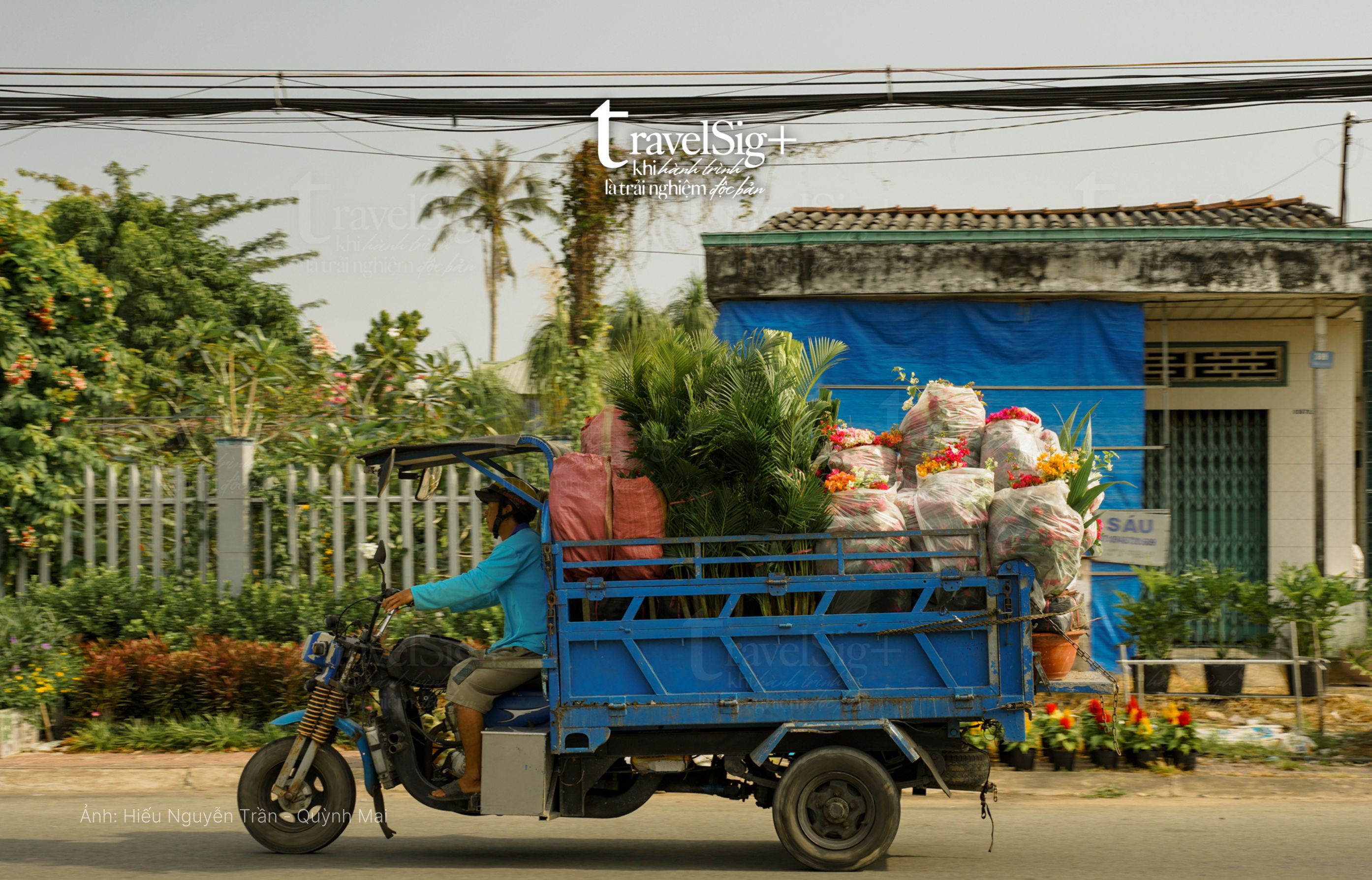Thủ phủ hoa kiểng miền Tây - Làng hoa Sa Đéc rực rỡ ngày cận Tết