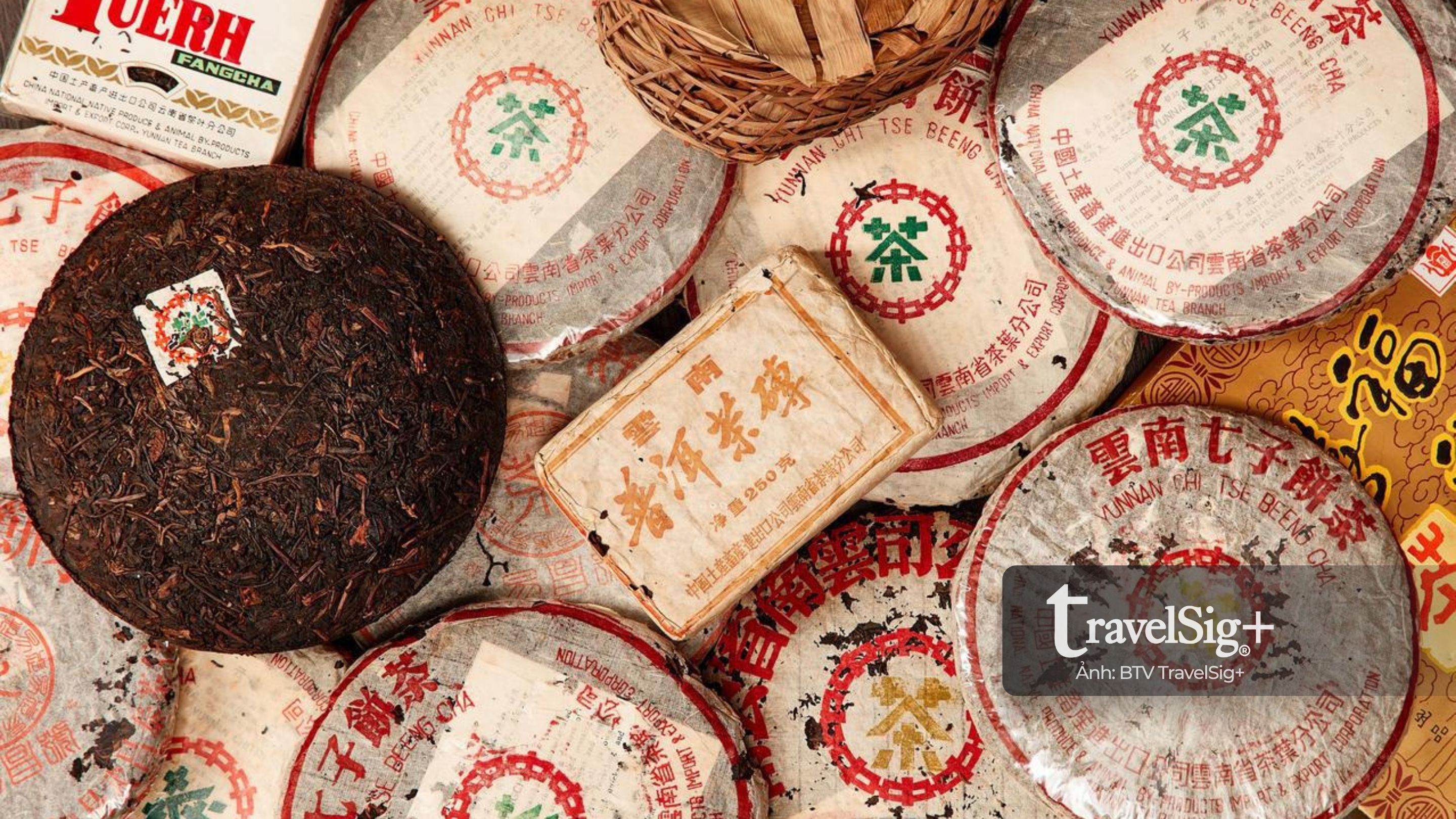 Trà Phổ Nhĩ – linh hồn của văn hóa trà Trung Hoa