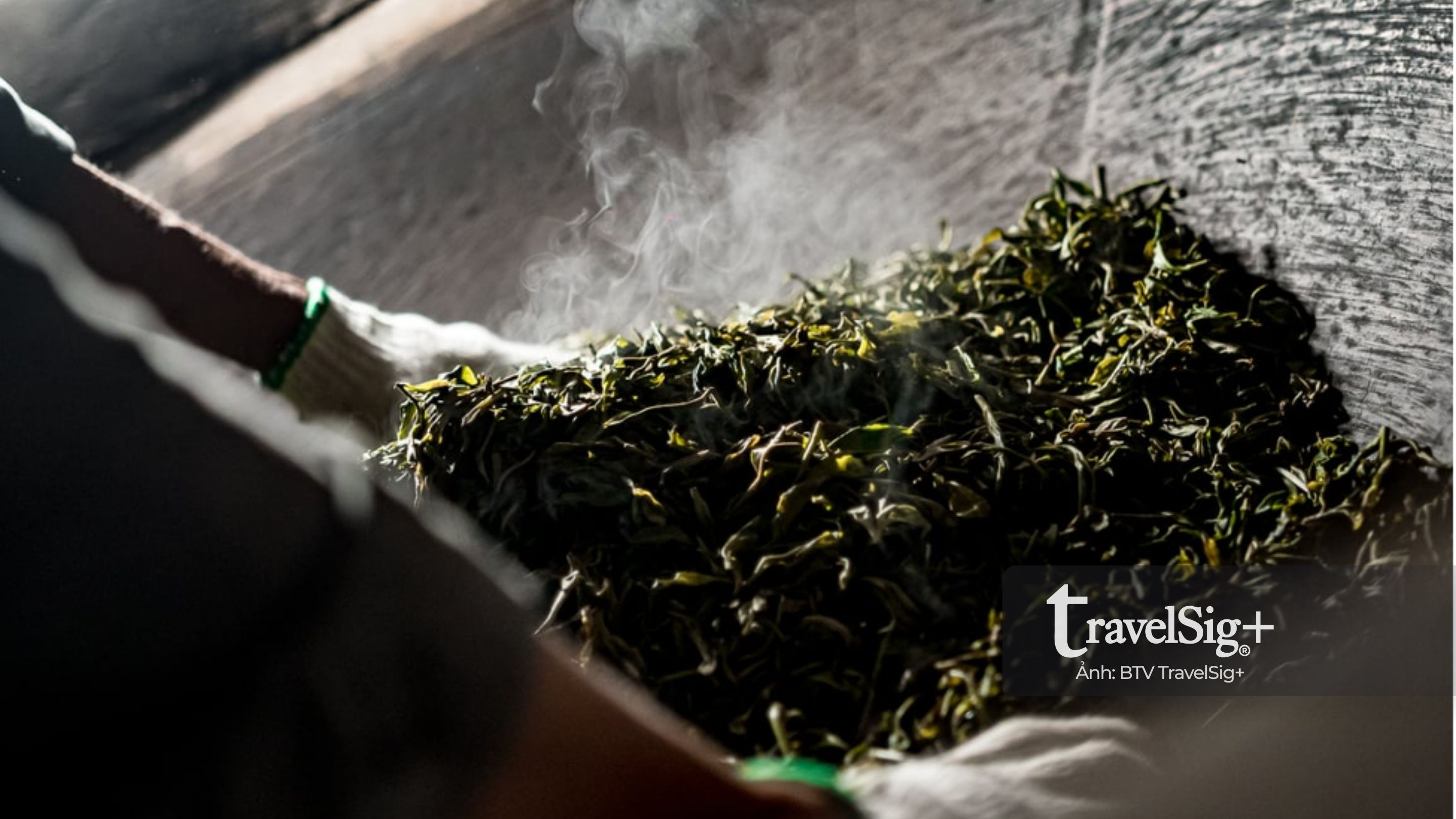 Trà Phổ Nhĩ – linh hồn của văn hóa trà Trung Hoa