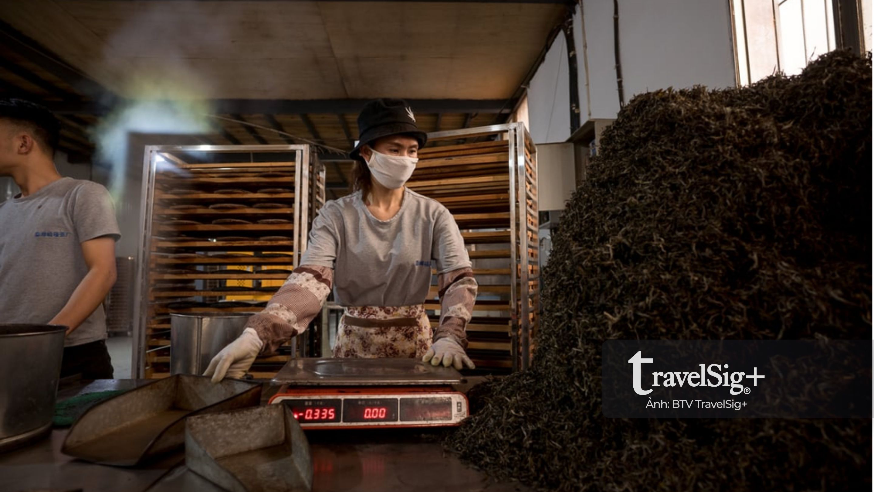 Trà Phổ Nhĩ – linh hồn của văn hóa trà Trung Hoa