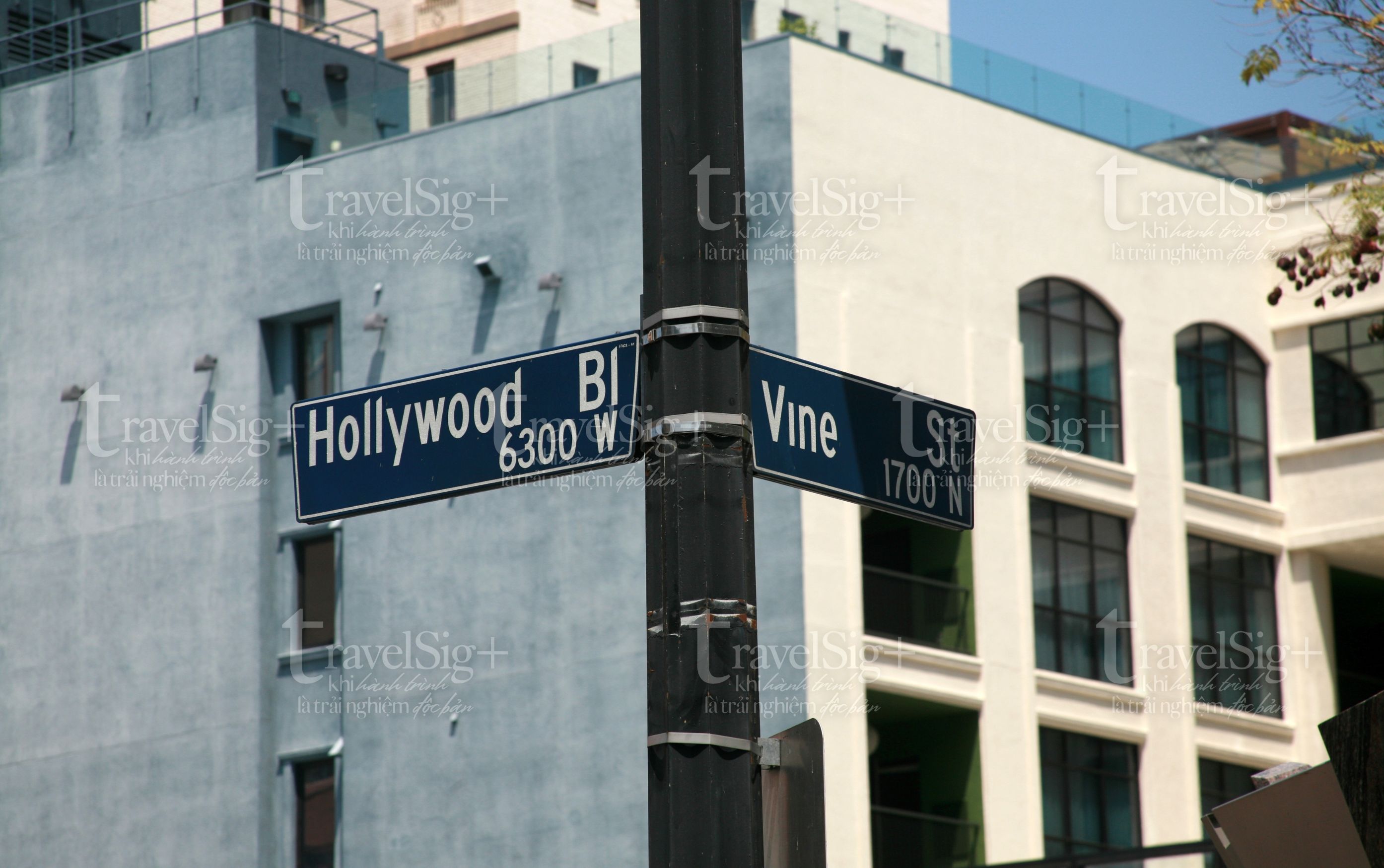 Trải nghiệm đặt tên trên Đại lộ Ngôi Sao Hollywood, một món quà độc đáo cho người yêu văn hóa điện ảnh