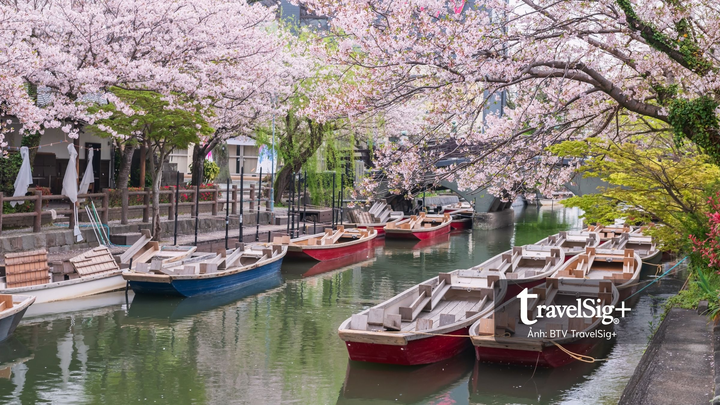 Theo Trip.com, thành phố Fukuoka ghi nhận mức tăng kỷ lục khách Việt yêu thích du lịch mùa Tết Nguyên Đán 2026.