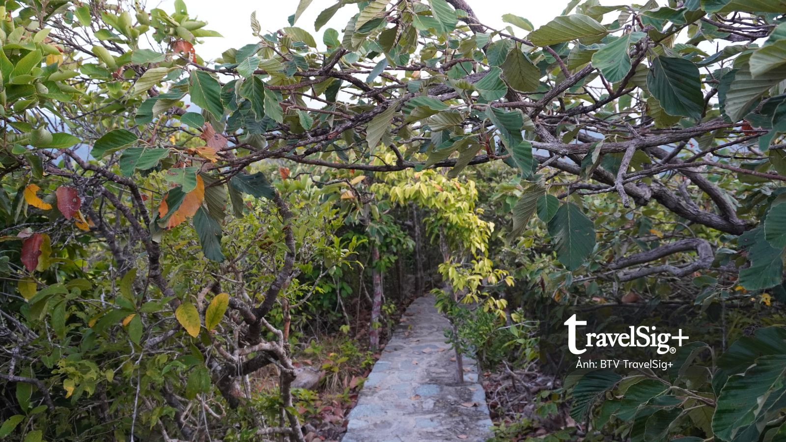 Từ dấu tích lao dịch đến cung đường trekking đẹp nhất Côn Đảo