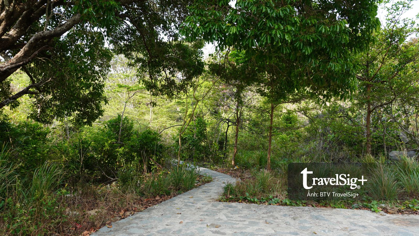 Từ dấu tích lao dịch đến cung đường trekking đẹp nhất Côn Đảo