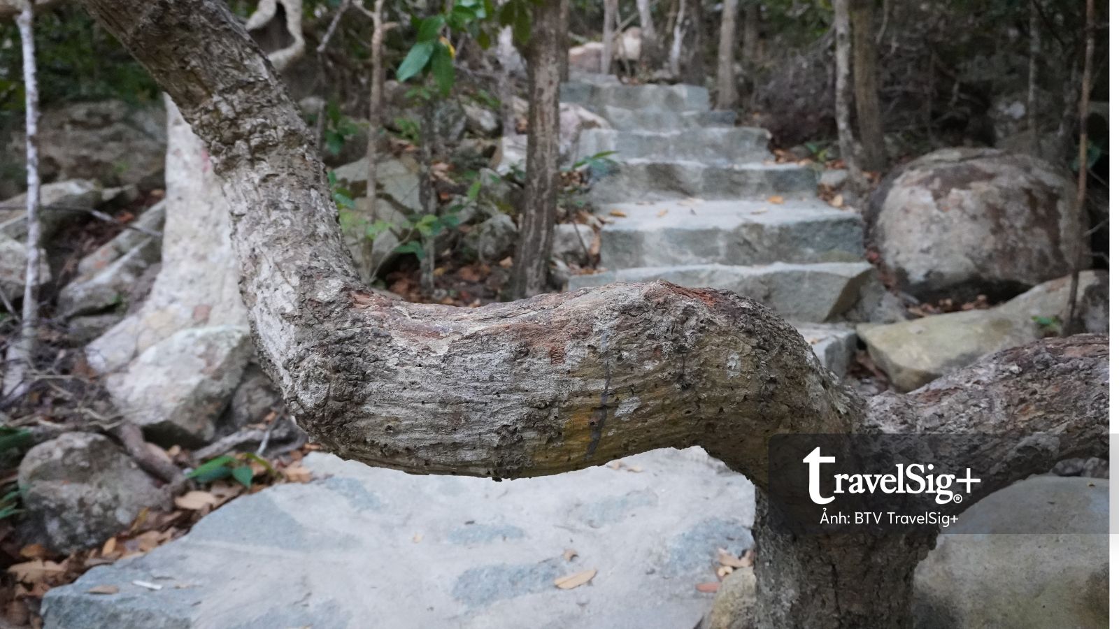 Từ dấu tích lao dịch đến cung đường trekking đẹp nhất Côn Đảo