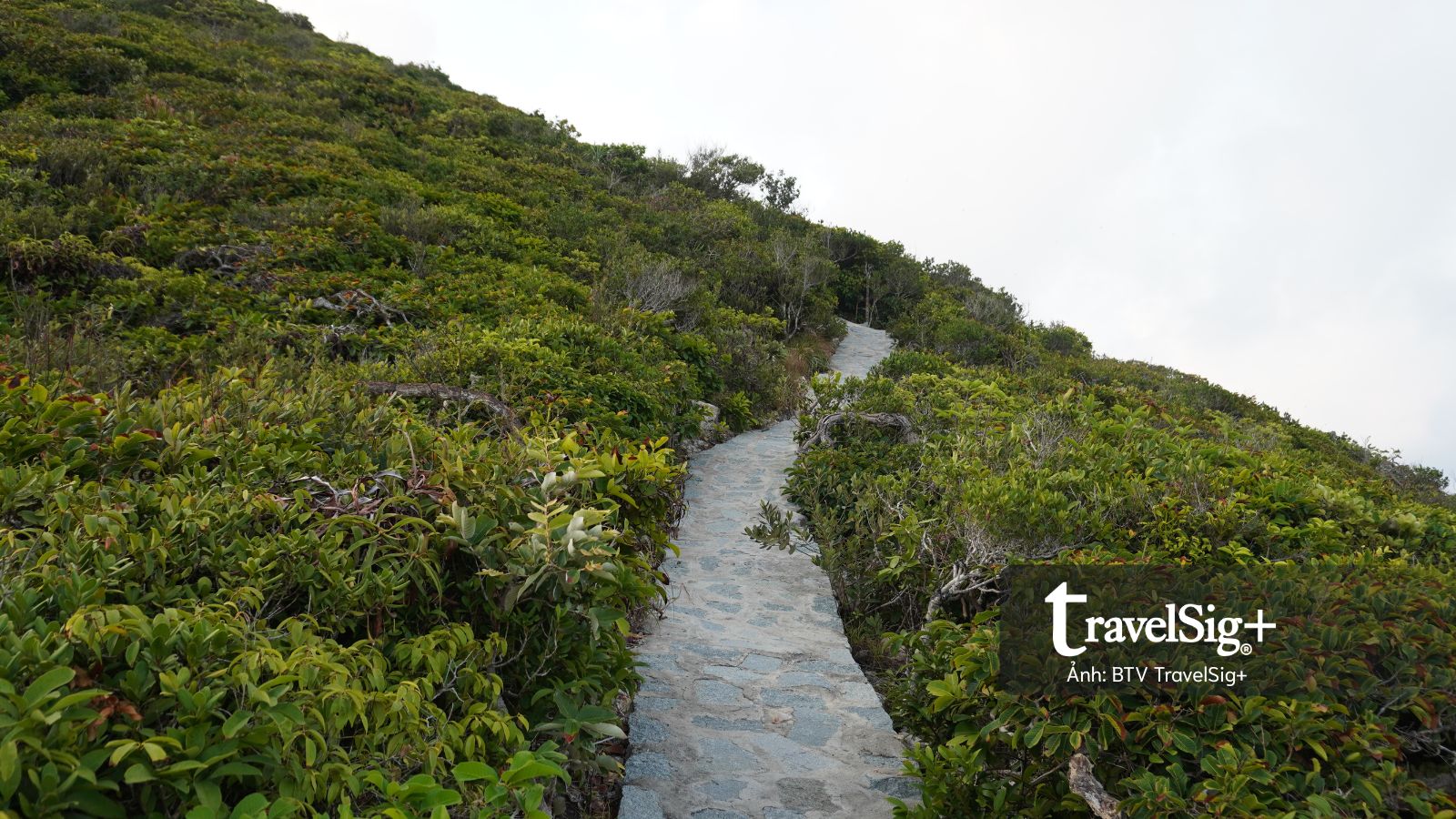 Từ dấu tích lao dịch đến cung đường trekking đẹp nhất Côn Đảo