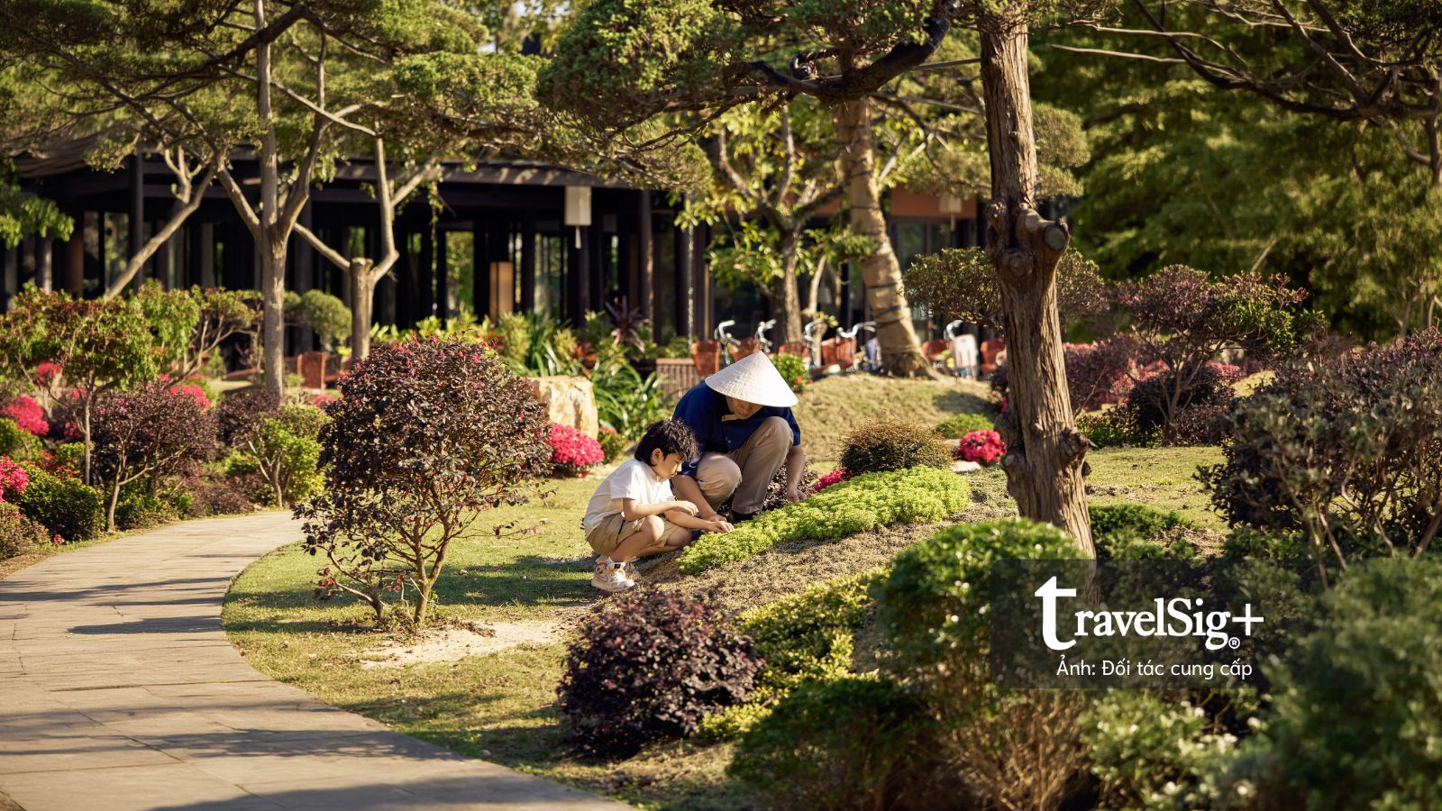 Từ M Village đến Modern Village Lifestyle: Tham vọng mới của thương hiệu lưu trú Việt