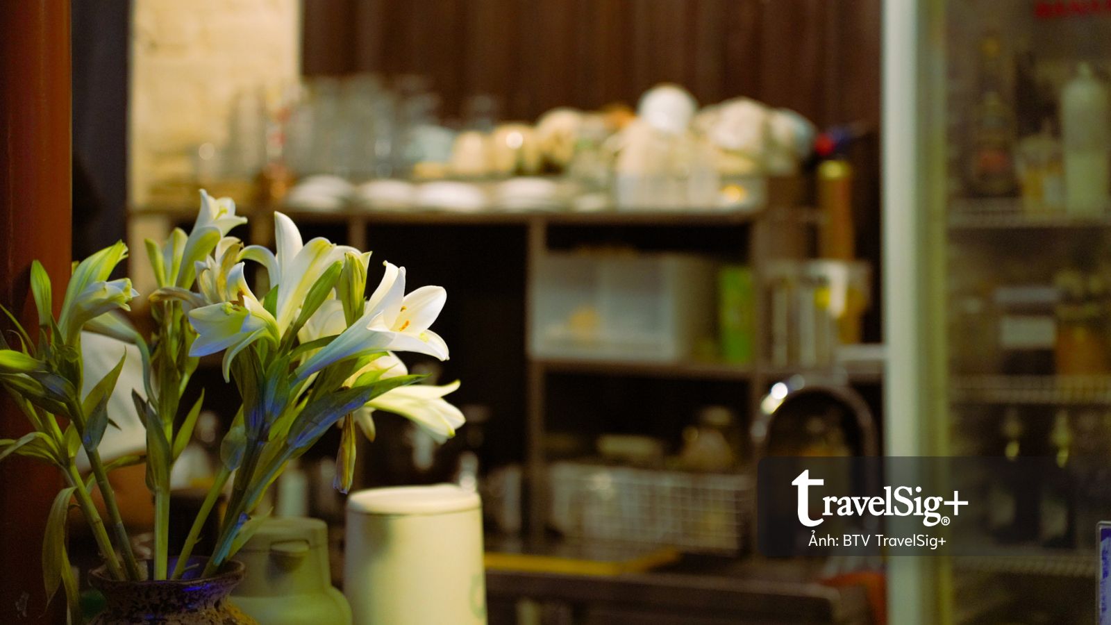 Từ những mảnh phế liệu, View Cafe kể một góc nhìn khác về Huế