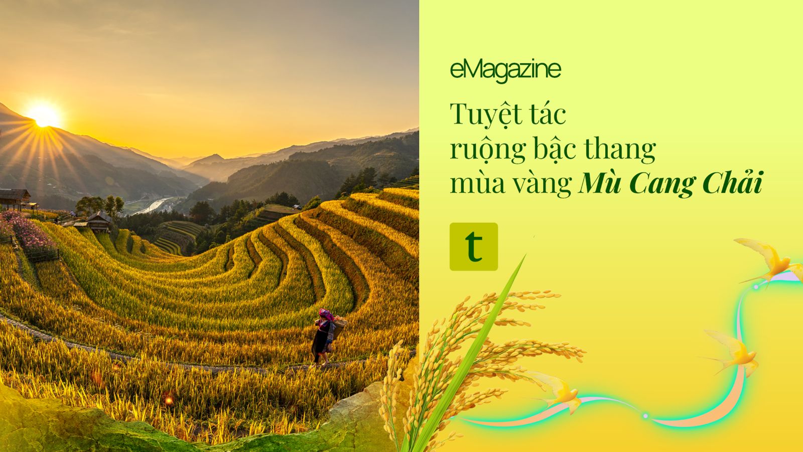 tuyet-tac-ruong-bac-thang-mua-vang-mu-cang-chai-thumbnails.jpg